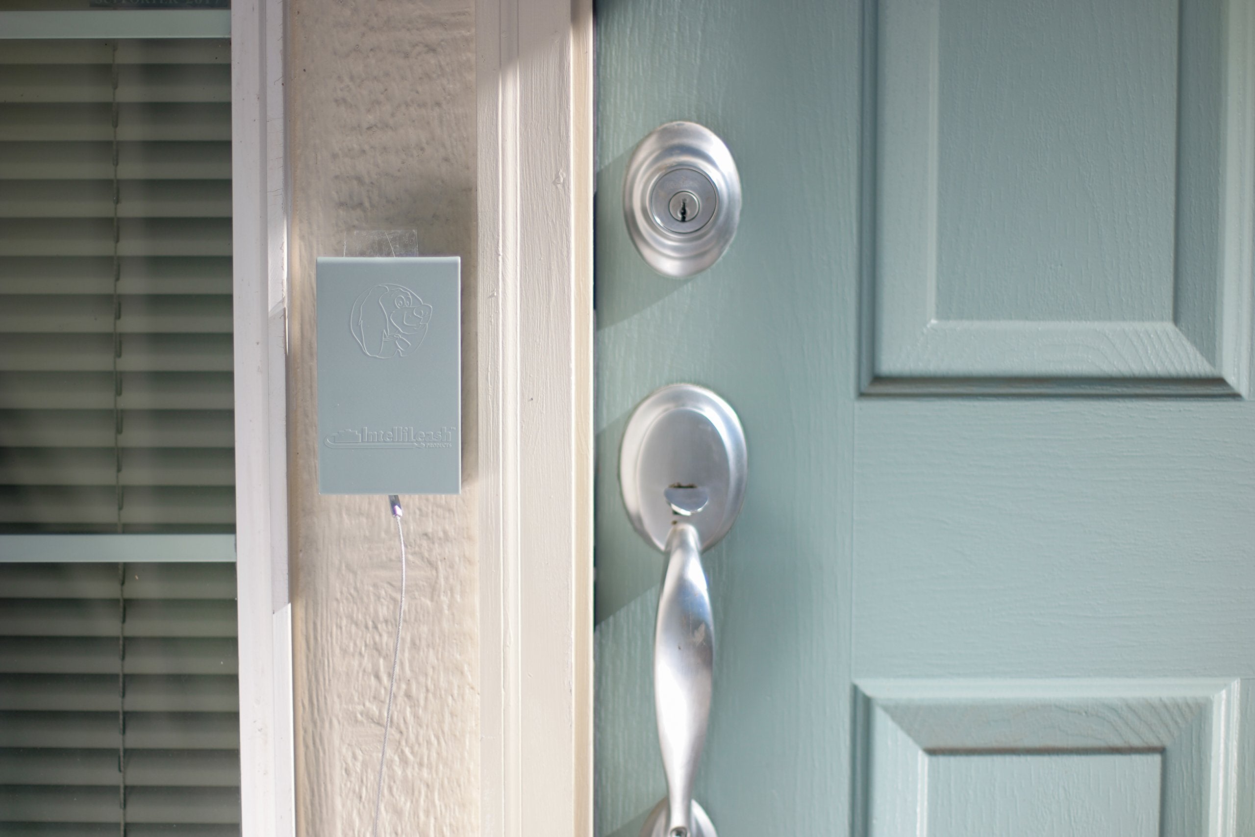 Intelli Shield Tie Out Clip And Leash Clip Storage Box. Weatherproof Box For Dog Leash Clip.