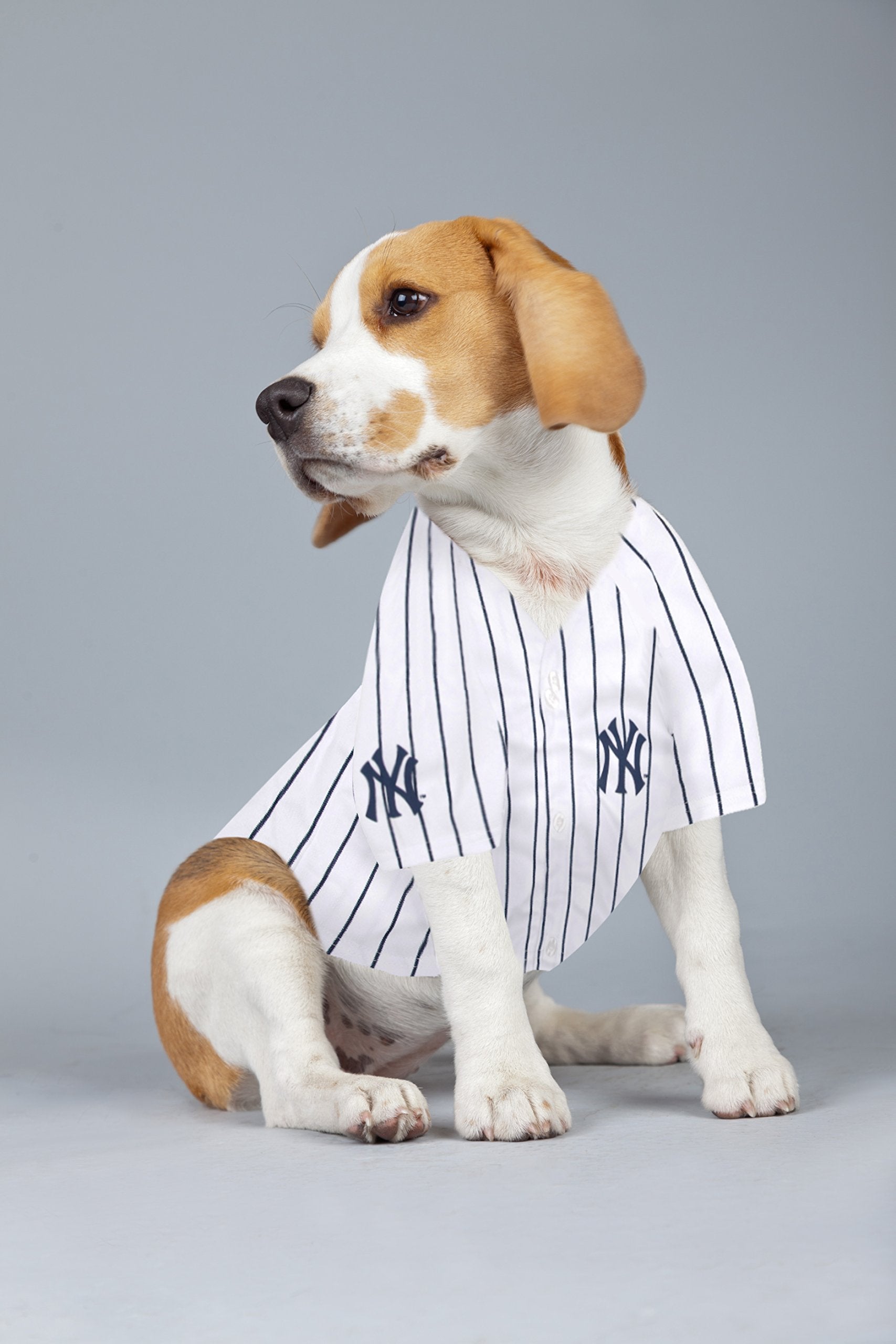 Pets First Mlbpa Dog Jersey - Aaron Judge #99 Pet Jersey - Mlb New York Yankees Mesh Jersey, Medium (Aj-4006-Md)