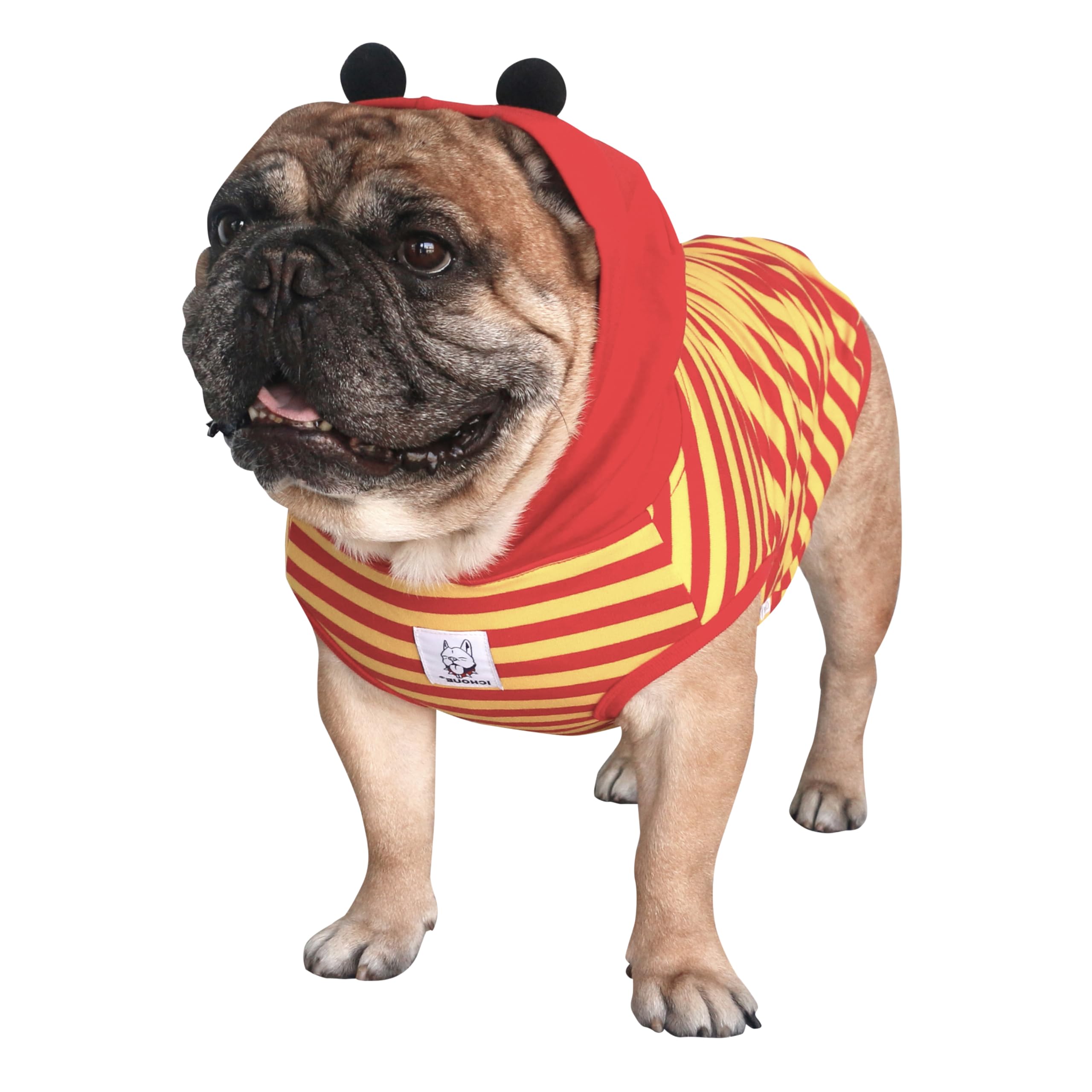 iChoue Pug Bumble Bee Costumes Clothes Hoodies Shirts Vest for Medium Dogs Cold Weather Winter Coats French Bulldog Frenchie Eng