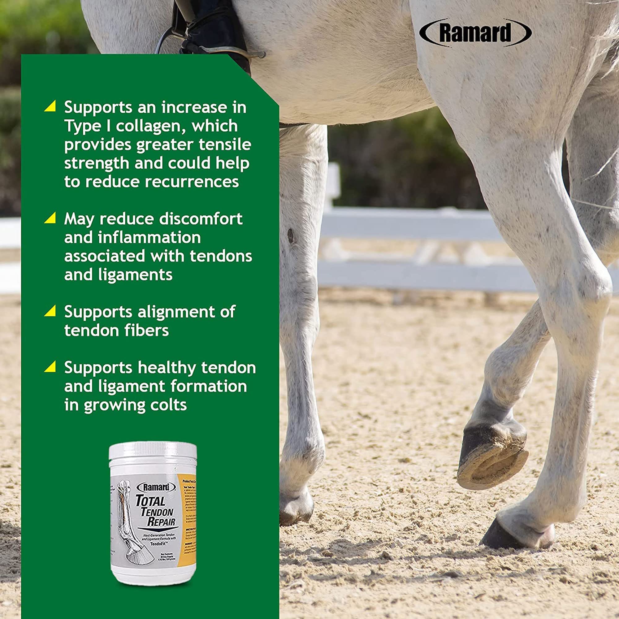 Ramard Total Tendon Repair -Advanced Powder Supplement with Vitamin C, Collagen, and MSM for Horse Joint, Ligament, and Tendon S