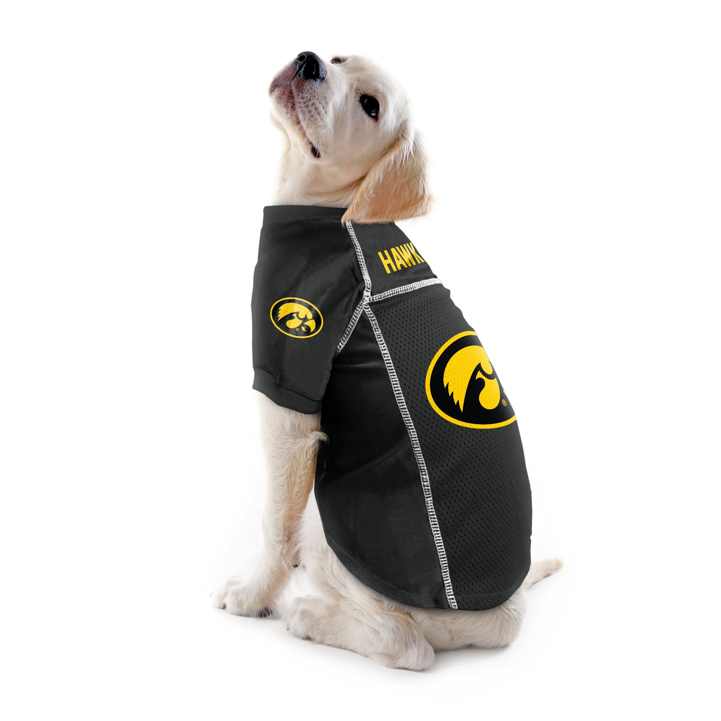 Littlearth Iowa Hawkeyes Ncaa Basic Pet Jersey