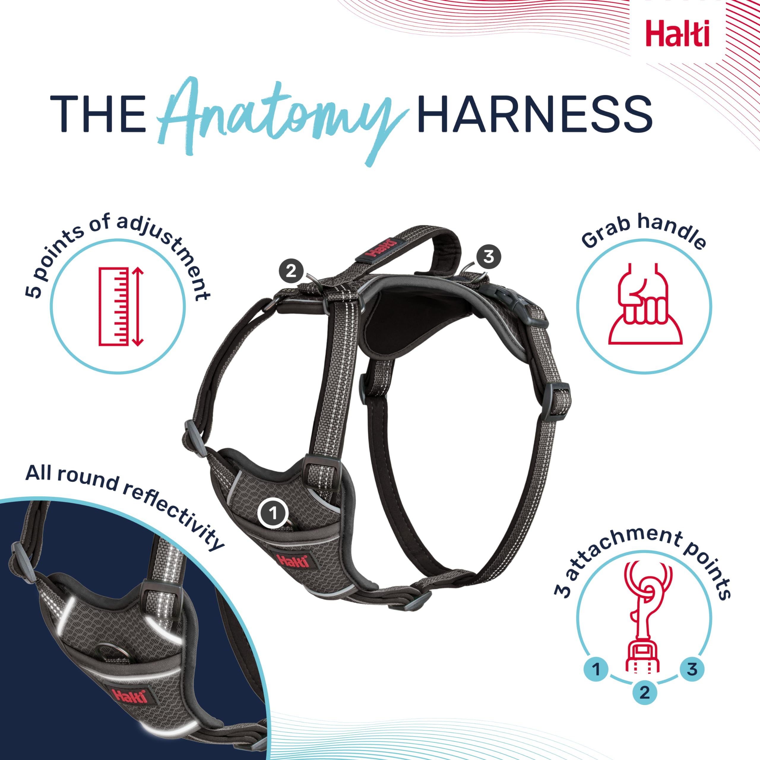 HALTI Anatomy Dog Harness with Handle - Provides Your Dog Freedom of Movement for Comfortable Walking. 3 Leash Attachment Points