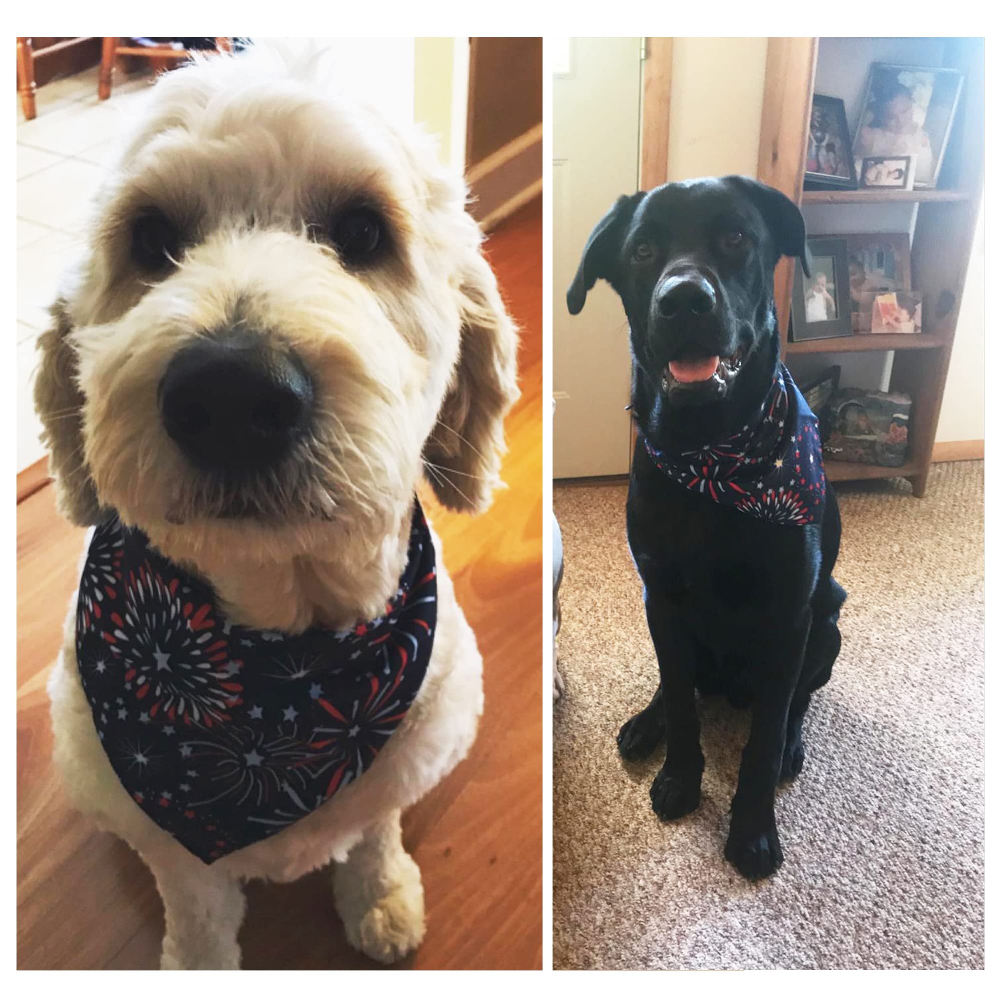 Adoggygo American Flag Dog Bandana, Multiple Sizes Offered, Triangle 4Th Of July Bandanas For Large And X-Large Dogs (X-Large)