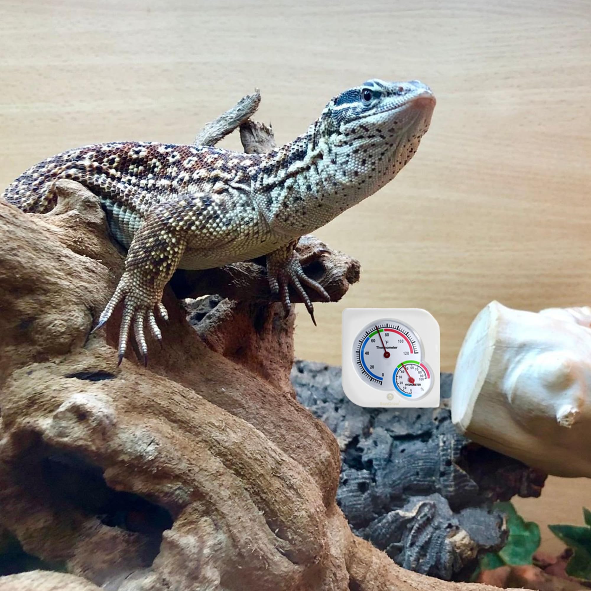 Sungrow Hermit Crab Thermometer & Hygrometer For Terrariums And Reptile, Analog Gauges, Measures In Fahrenheit & Percent, White, 1 Pc Per Pack