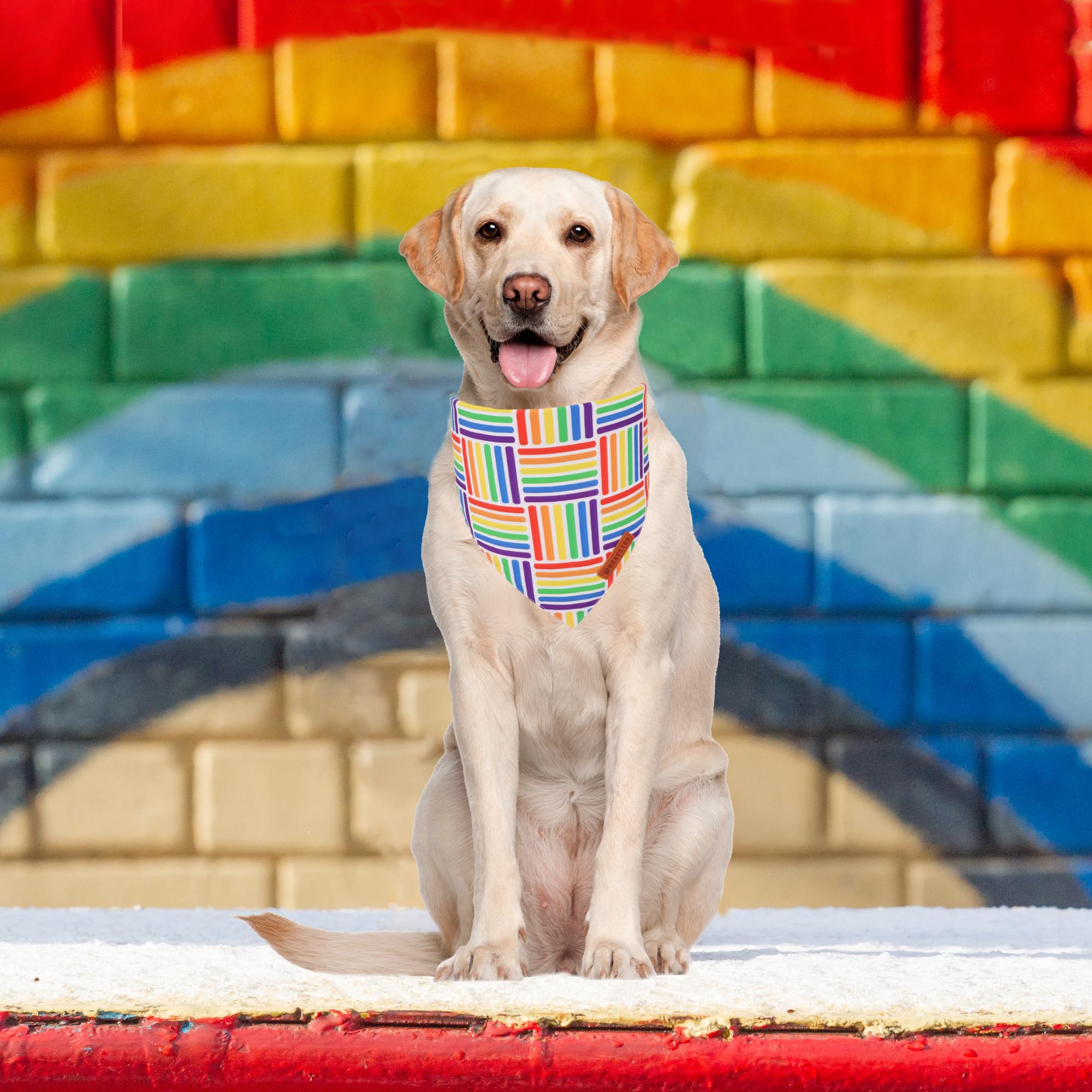 Adoggygo Rainbow Dog Bandana, Holiday Puppy Scarf, Adjustable Fit Colorful Rainbow Bandanas For Small Dogs Puppies (Small)
