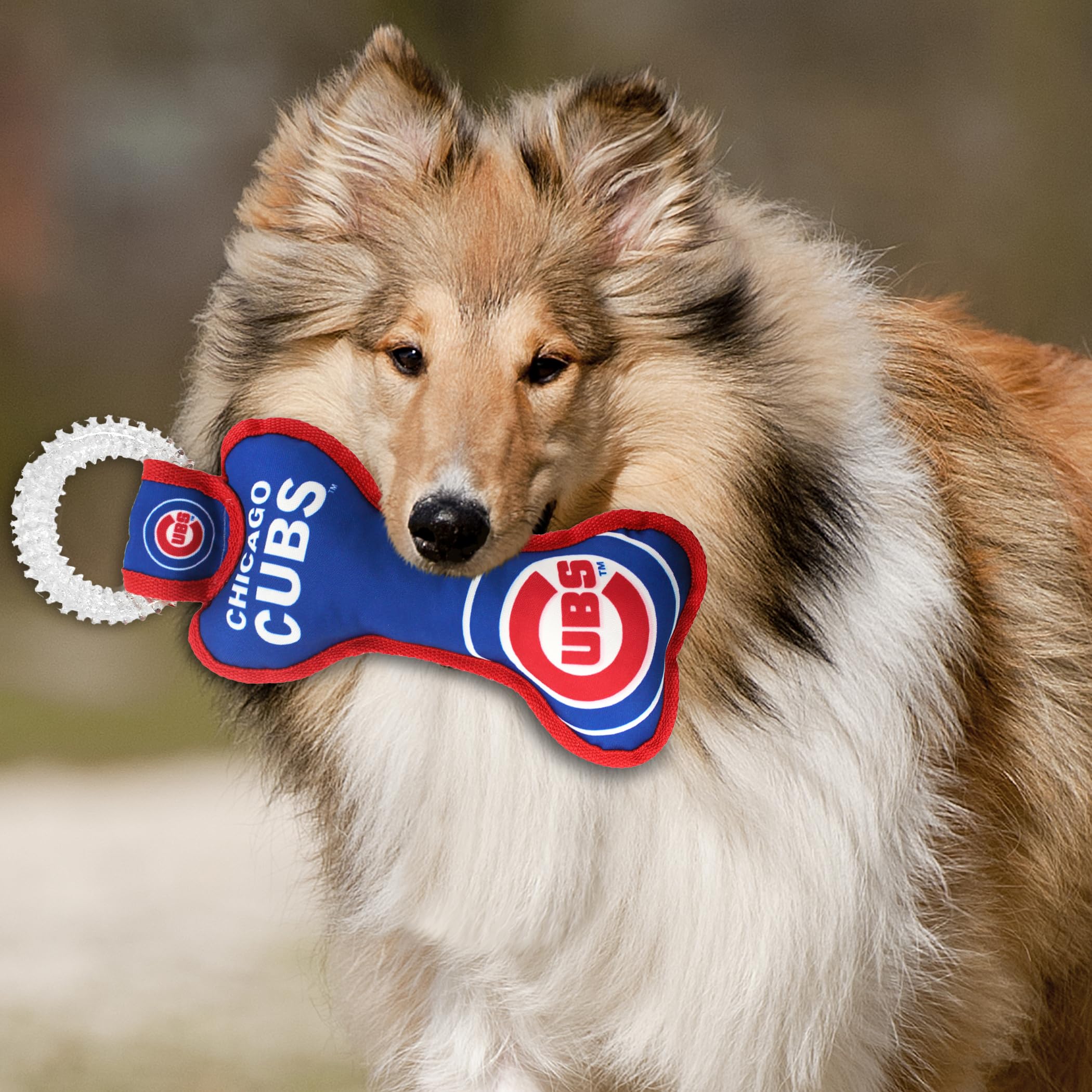 Mlb Chicago Cubs Bone Shaped Dental Dog Tug Toy With Squeaker. Tough Pet Toy For Healthy Fun, Teething, And Cleaning Pet'S Teeth