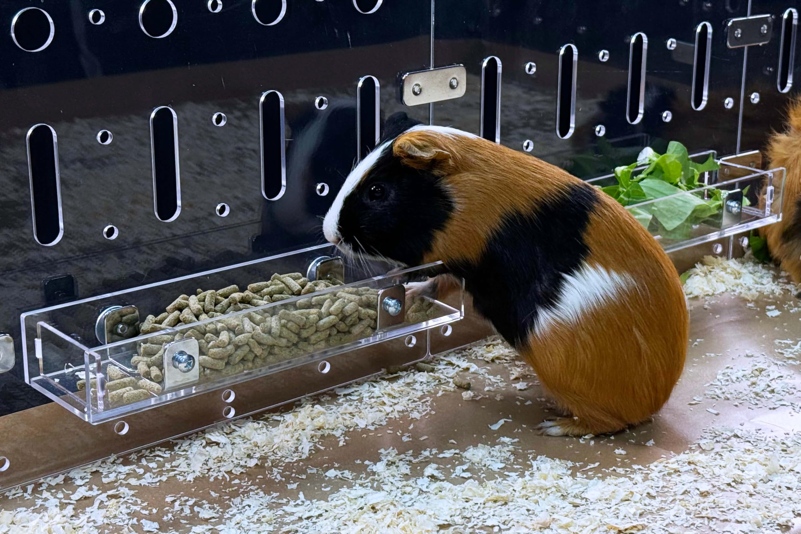 GuineaLoft Food Feeder - Say Goodbye to Traditional Bowls! The Ultimate Feeder for Small Pets Like Guinea Pigs, Rabbits and Chin