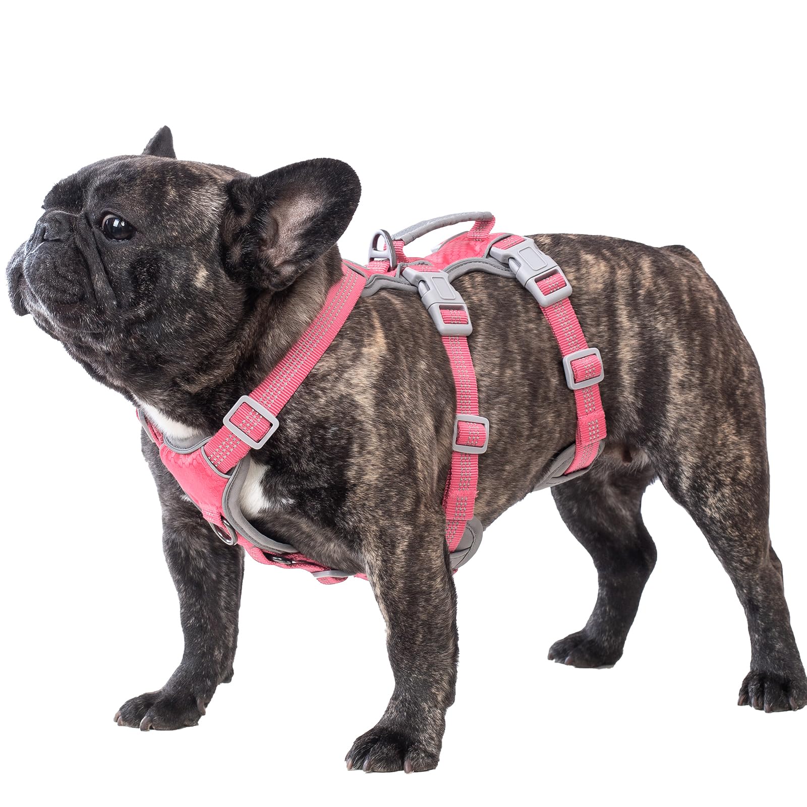 Huntboo Escape Proof Dog Harness, Reflective & Durable Vest for Medium Dogs, Pink, Model HD-03-QFS-M-NEW