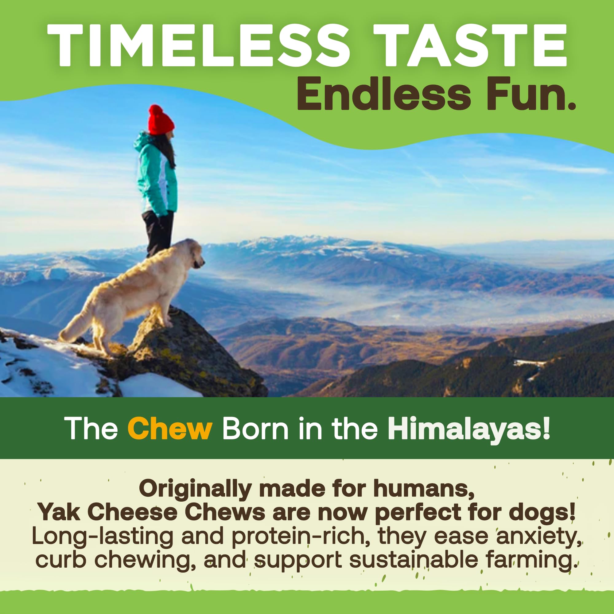 EcoKind Premium Gold Yak Cheese Himalayan Dog Chews, Dog Treats Large Breed, All Natural, High Protein, for Aggressive Chewers,