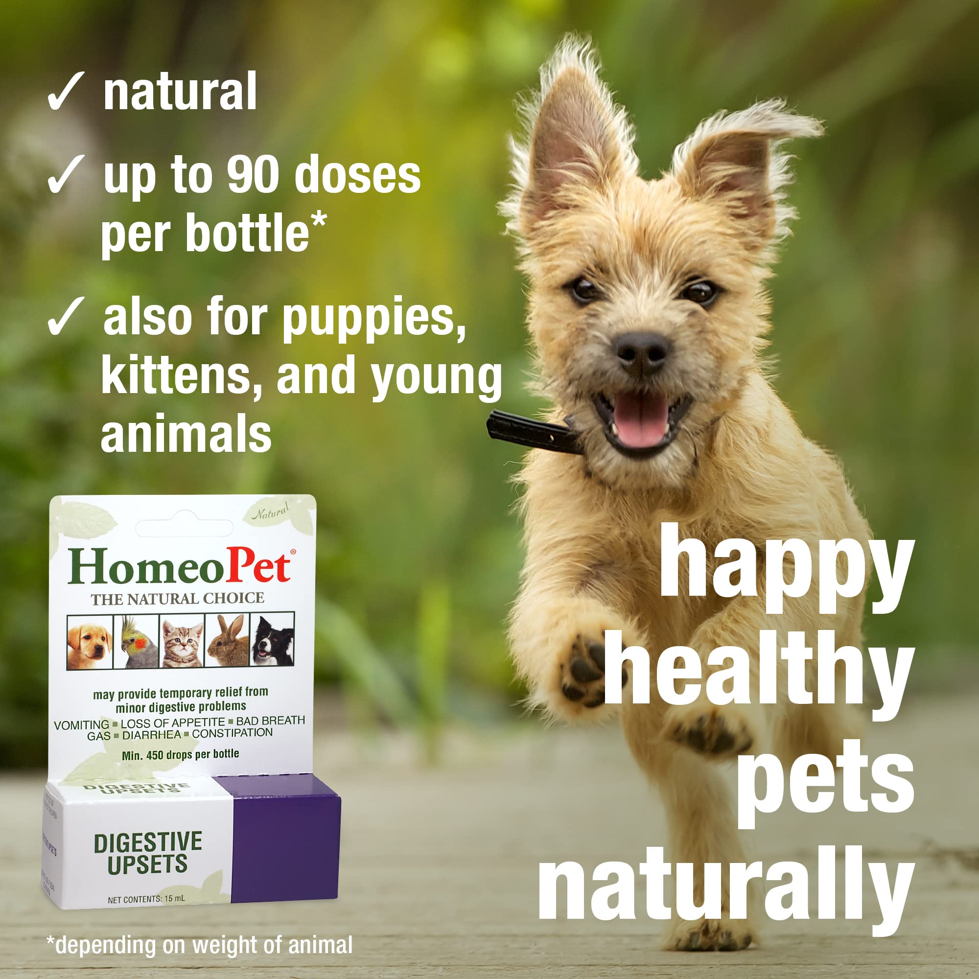 HomeoPet Digestive Upsets, Safe, Gentle, and Natural Cat and Dog Digestive Support, 15 Milliliters