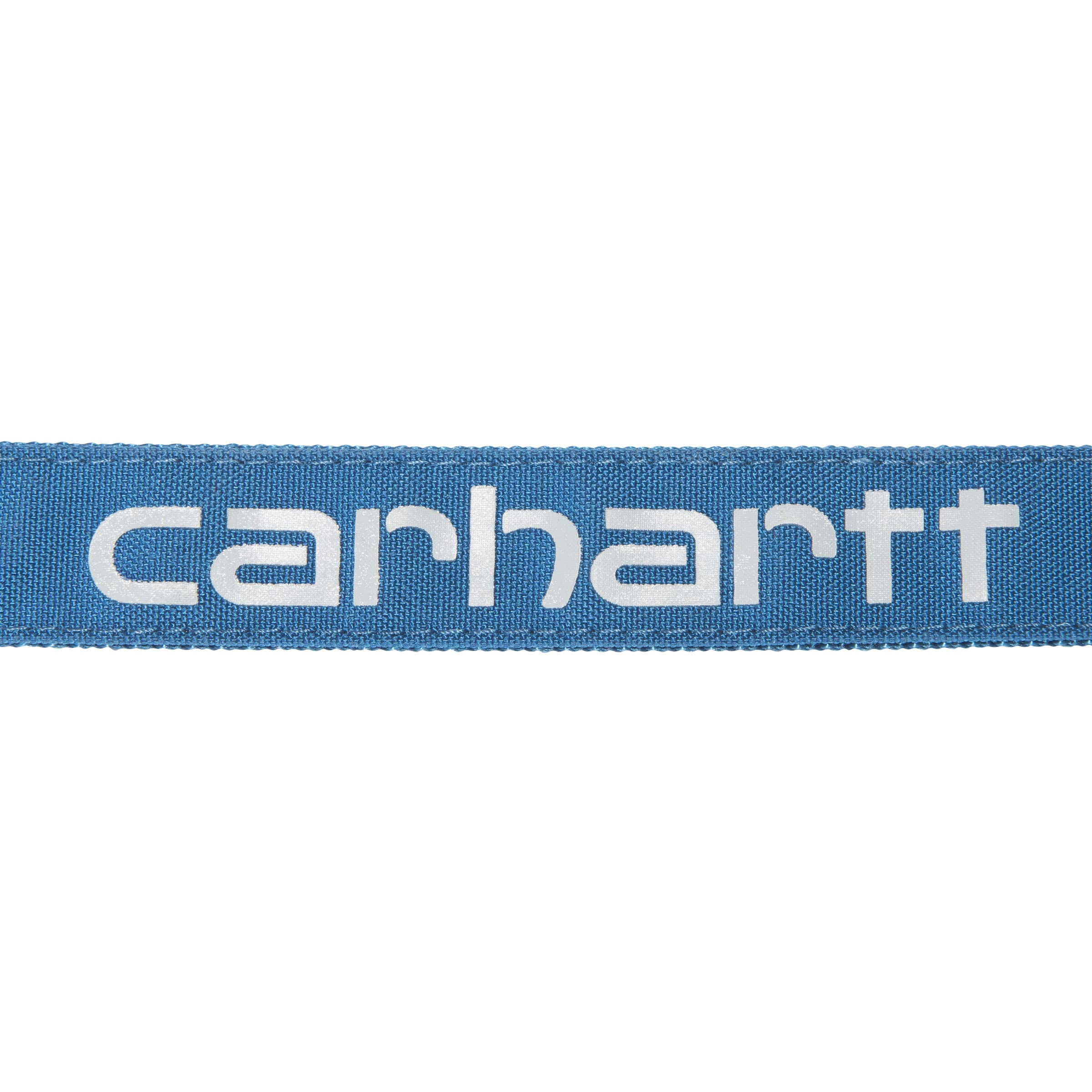 Carhartt Pet Durable Nylon Duck Leashes For Dogs, Reflective Stitching For Visibility, Marine Blue, Large
