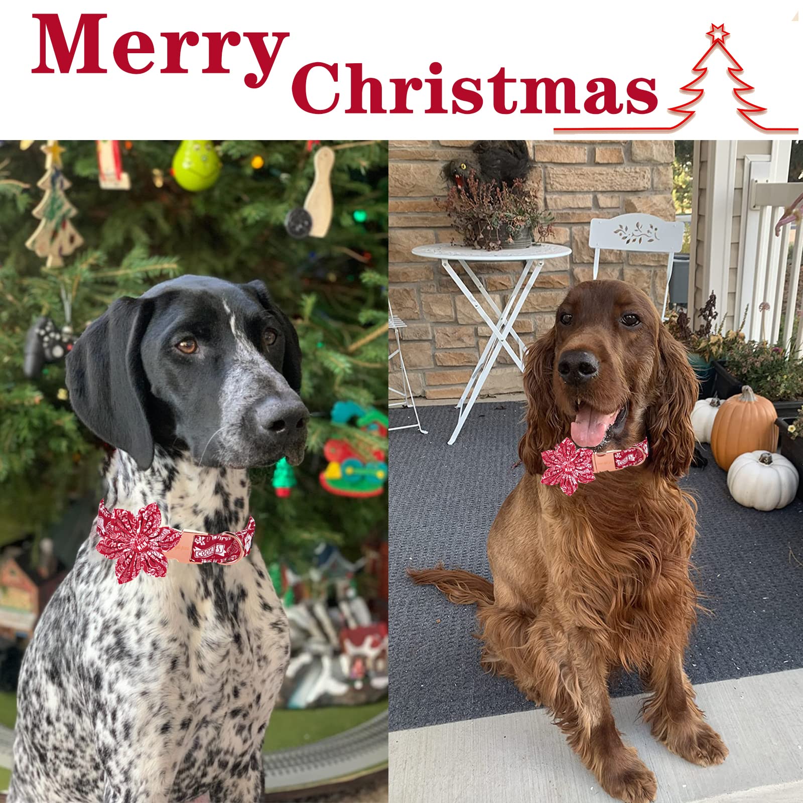 Unique Style Paws Christmas Dog Collar With Flower Tie Winter Gingerbread Snowman Theme Puppy Collar For Small Medium Large Dogs-Xs