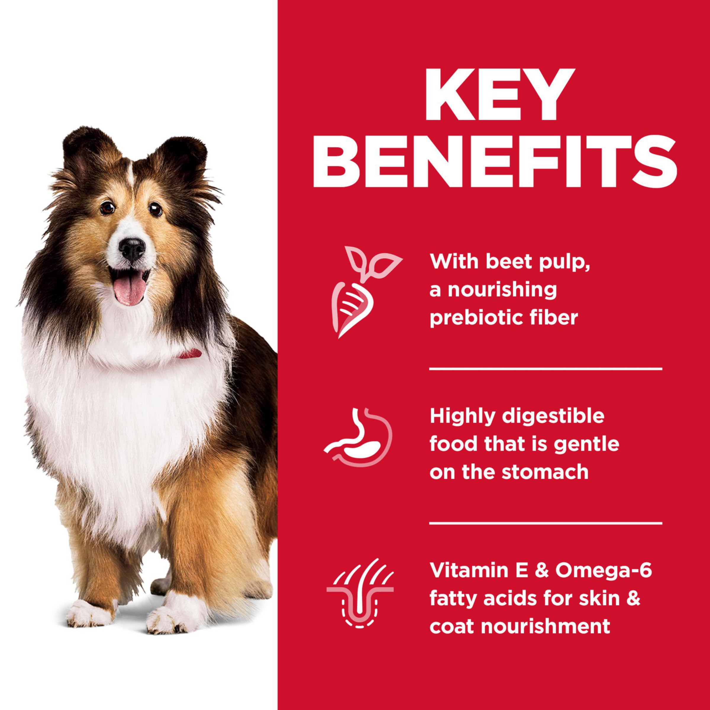 Hills Science Diet Sensitive Stomach & Skin, Adult 1-6, Stomach & Skin Sensitivity Support, Dry Dog Food, Chicken Recipe, 15.5