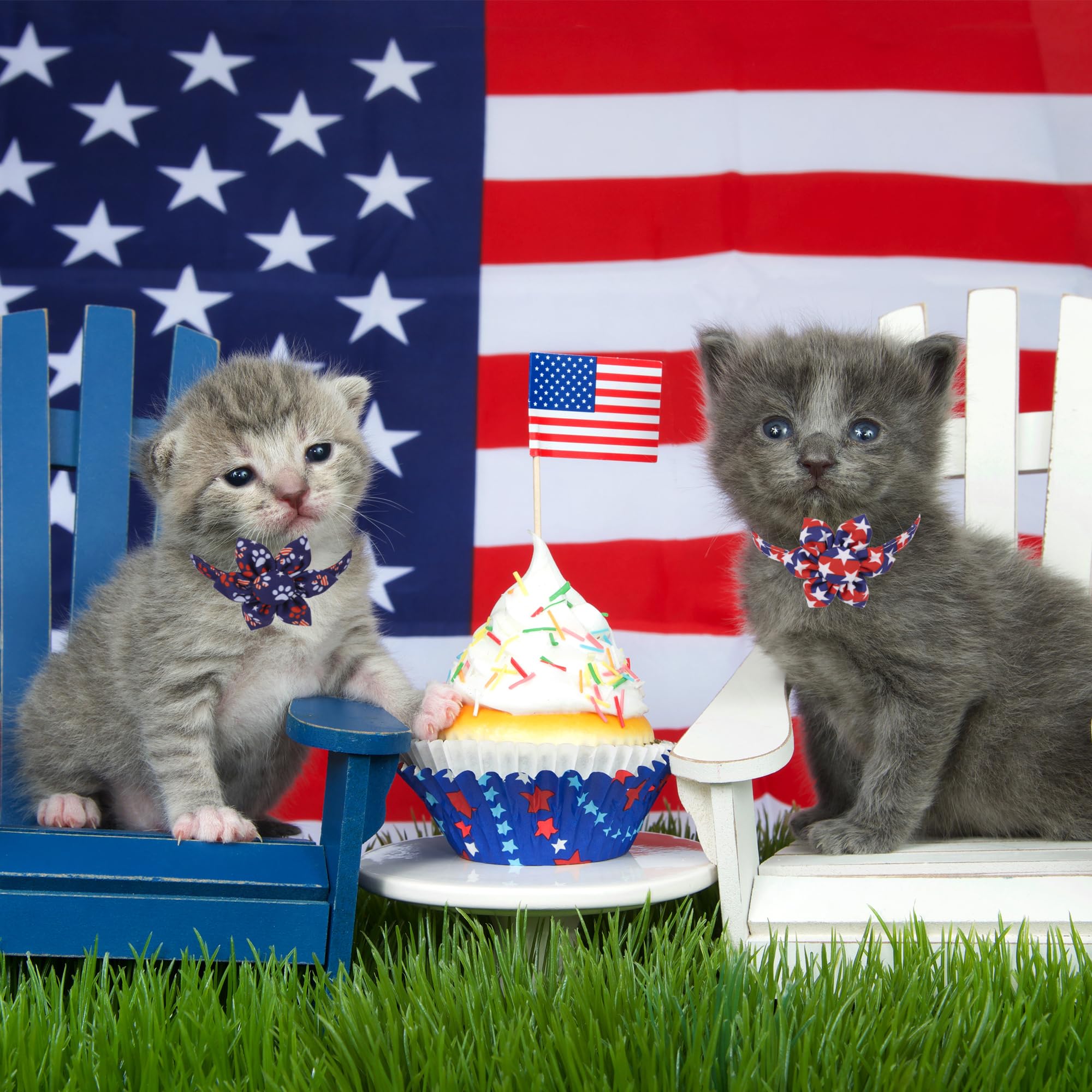 Adoggygo American Flag Cat Collars With Removable Flower Bell, Adjustable Red Blue 4Th Of July Flag Pattern Floral Collars For C