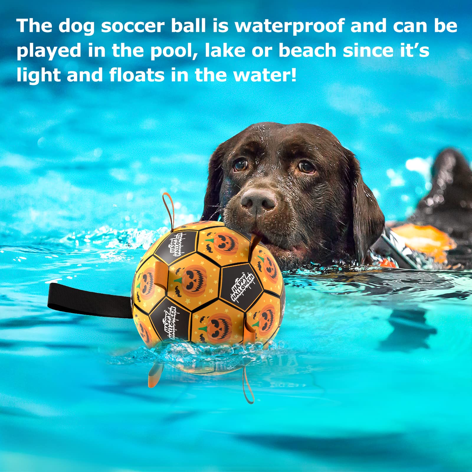 QDAN Halloween Dog Toys, Soccer Balls, Interactive Pet Toys, Puppy Dogs Birthday Gifts, Durable Dog Balls for Small Medium Dogs(