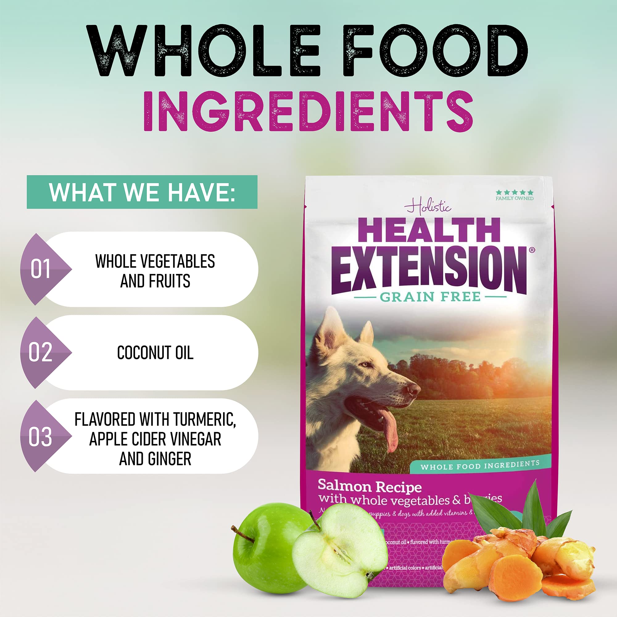 Health Extension Grain Free Salmon & Sweet Potato Dry Dog Food (4 lb / 1.81 kg) - Whole Foods Ingredients Formula with Omega 3 &
