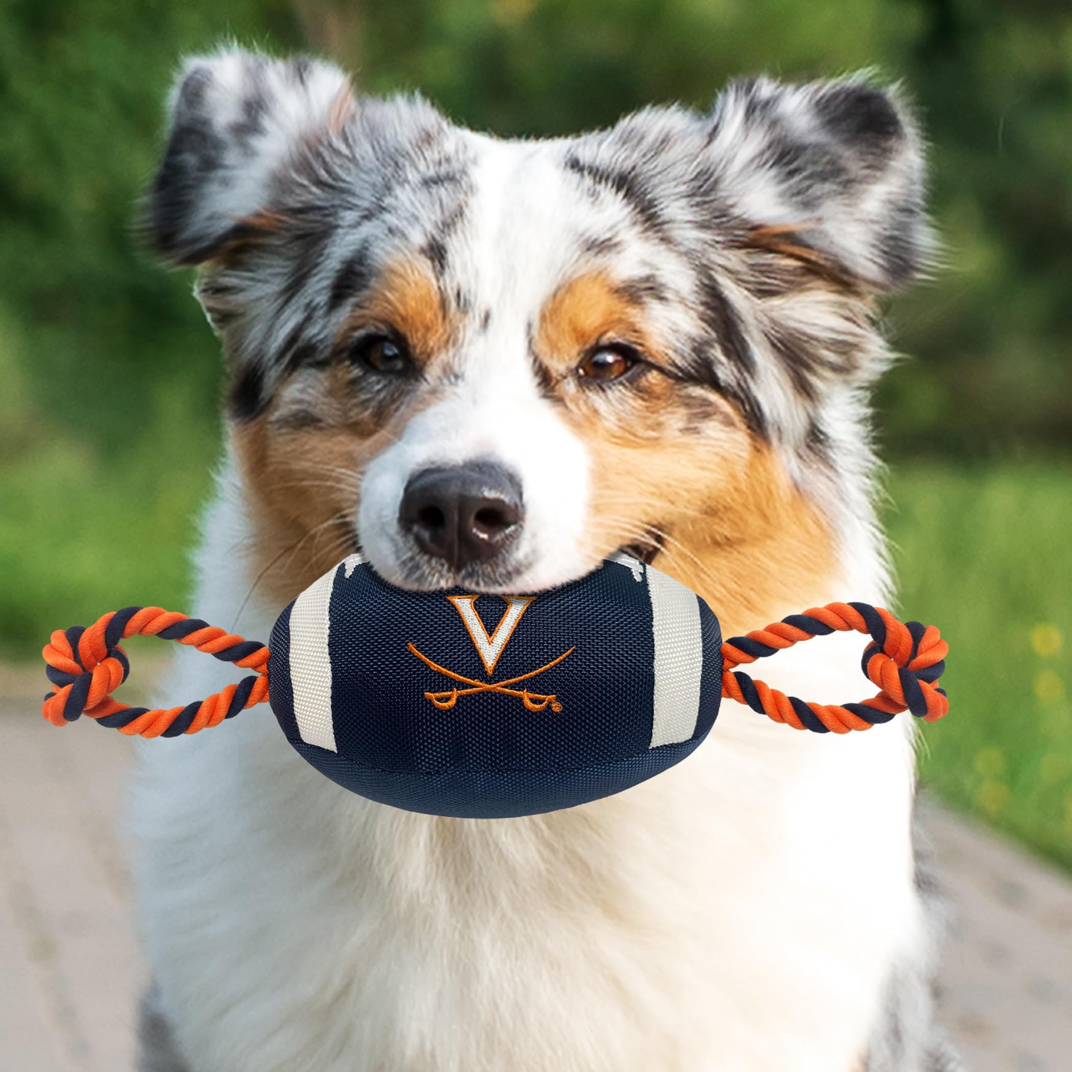 Pets First UVA-3121 Virginia Nylon Football