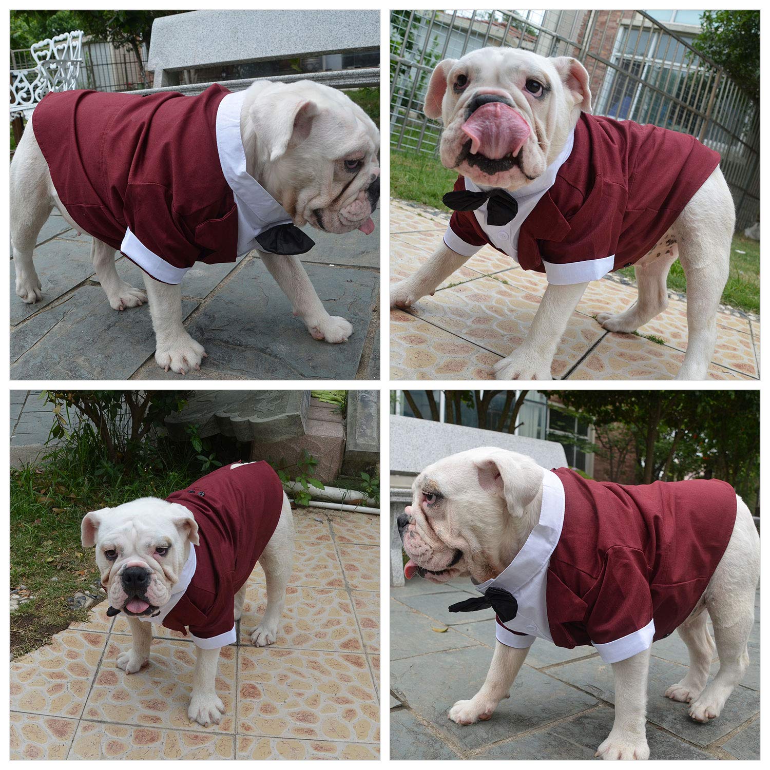 Lovelonglong Pet Costume Dog Suit Formal Tuxedo With Black Bow Tie For Large Medium Small Dogs Cat Wedding Clothes Reddish Brown Xl