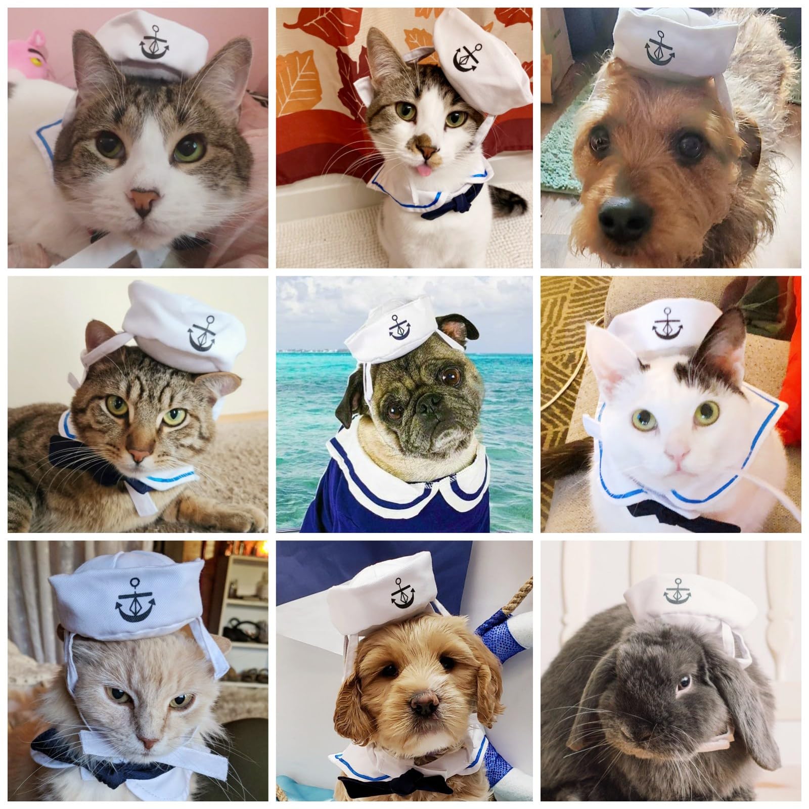 NAMSAN Pet Sailor Costume for Cats Small Dogs, Cat Halloween Costumes, Small Dog Sailor Outfit, Cat Sailors Hat with Tie Collar,