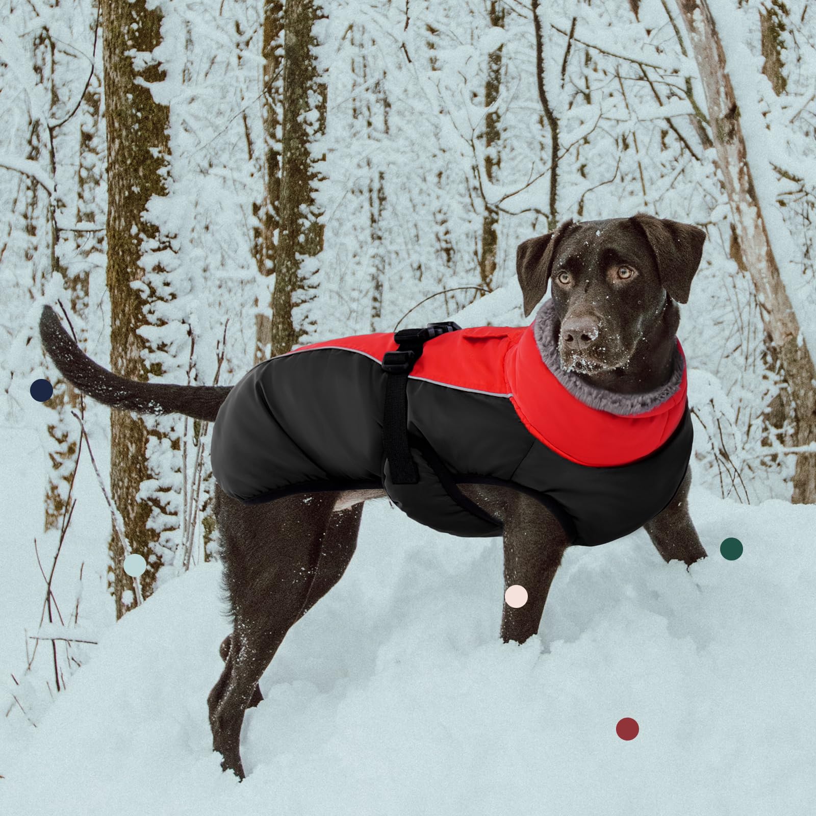 IECOii Extra Warm Reflective Dog Coat - Adjustable Turtleneck Jacket for Small to Extra Large Dogs - Medium, Christmas Red