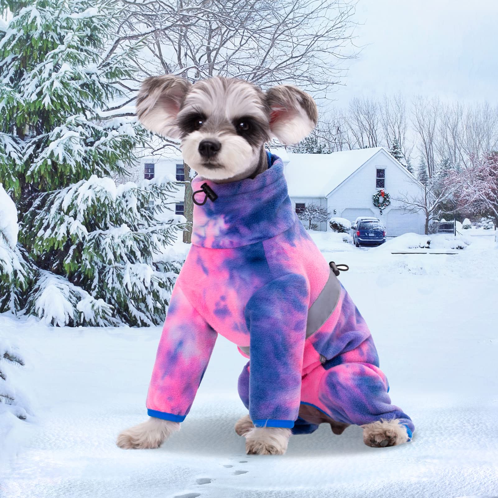 Aitoli Dog Coat, Tie Dye Fleece Jumpsuit For Small Dogs, Winter Jacket, Reflective Stripes, Comfortable, Lightweight