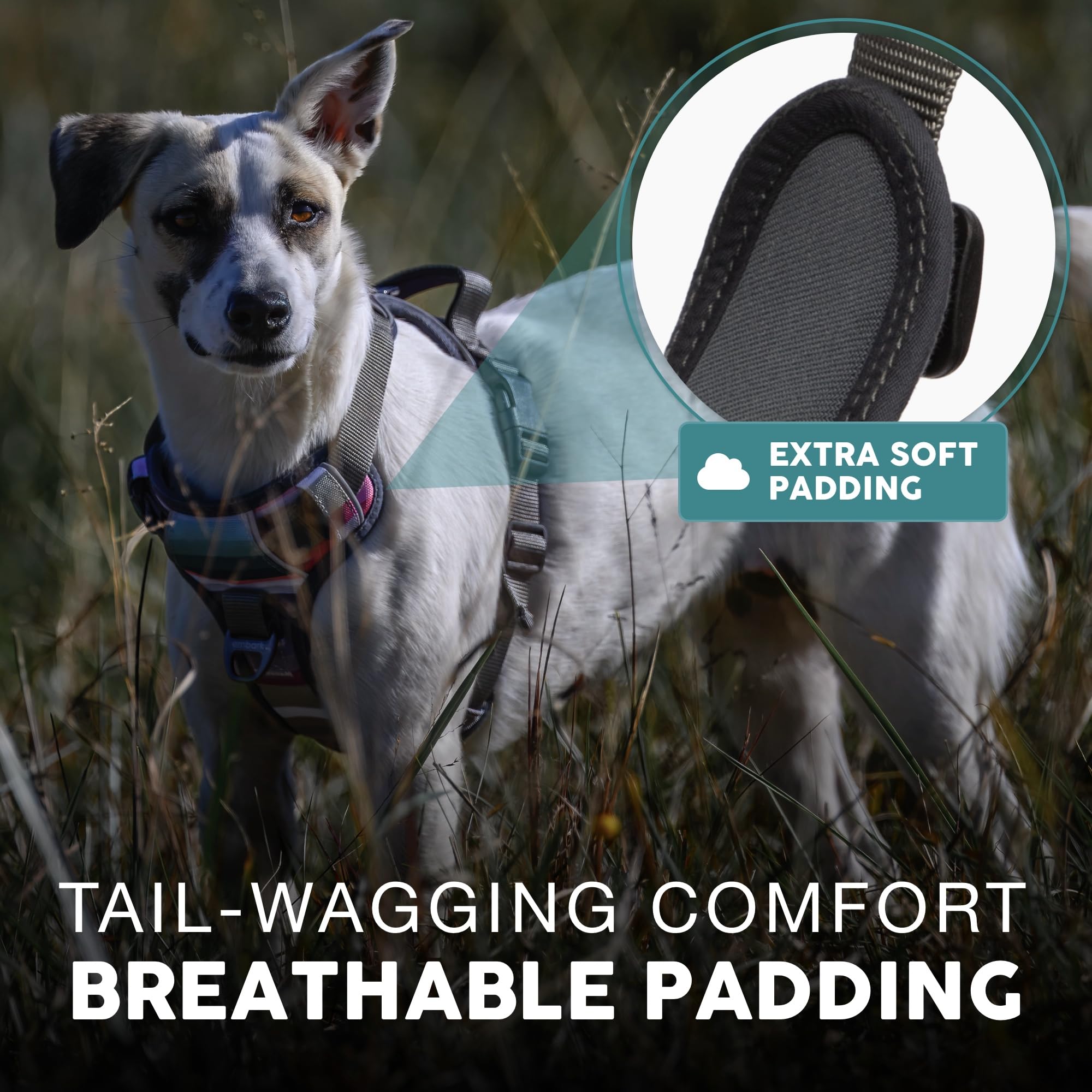 Embark Adventure Dog Harness, Reflective Trim No Pull Dog Harnesses For Small Sized Dogs - Military Grade Nylon, Front Clip With