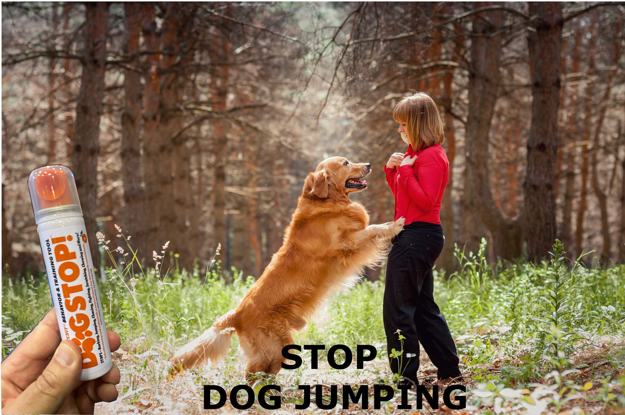 Safety-Sport Dog Stop! - Stop Barking, Jumping, Chasing, Fighting, Scratching, Chewing, Biting & More! Safe, Humane, Effective P