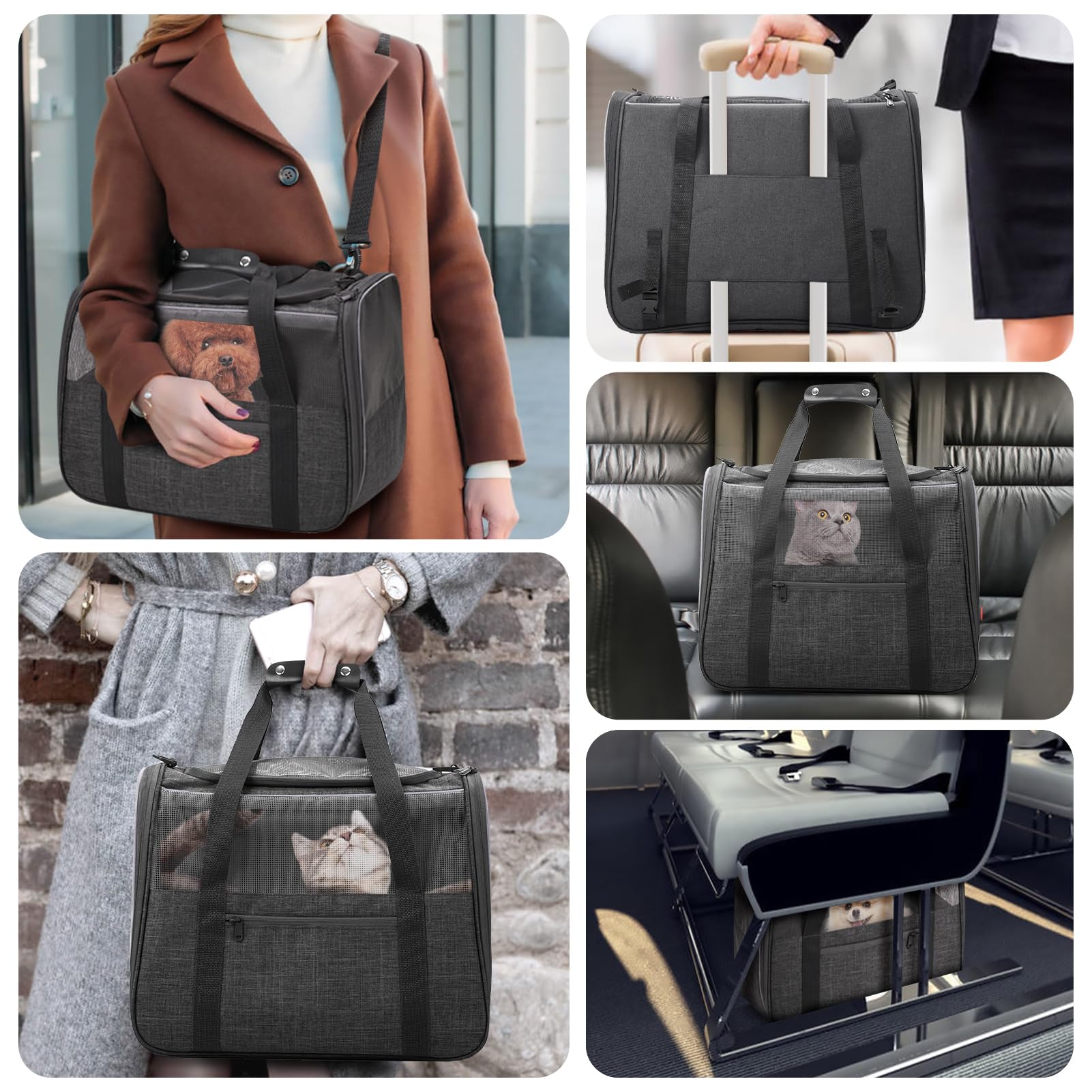 Jungyoun Premium Cat Carrier - Pet Carrier For Cat & Small Dogs Up To 15Lbs - Airline Approved Travel Dog Carrier With Anti-Esca