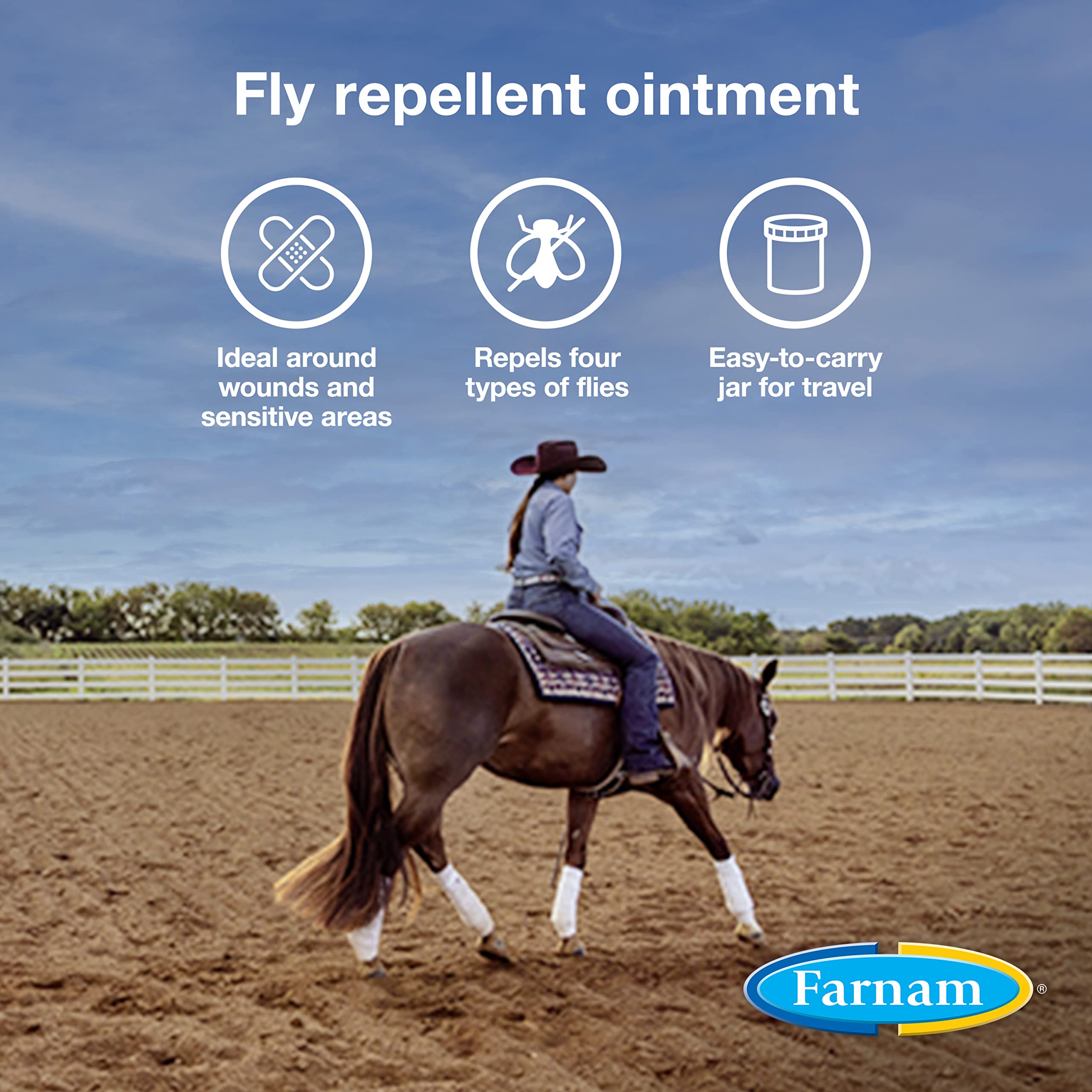 Farnam SWAT CLEAR Fly Control for Horses, Ponies & Dogs - 7 oz Jar, Effective Fly Repellent, Clear Formula