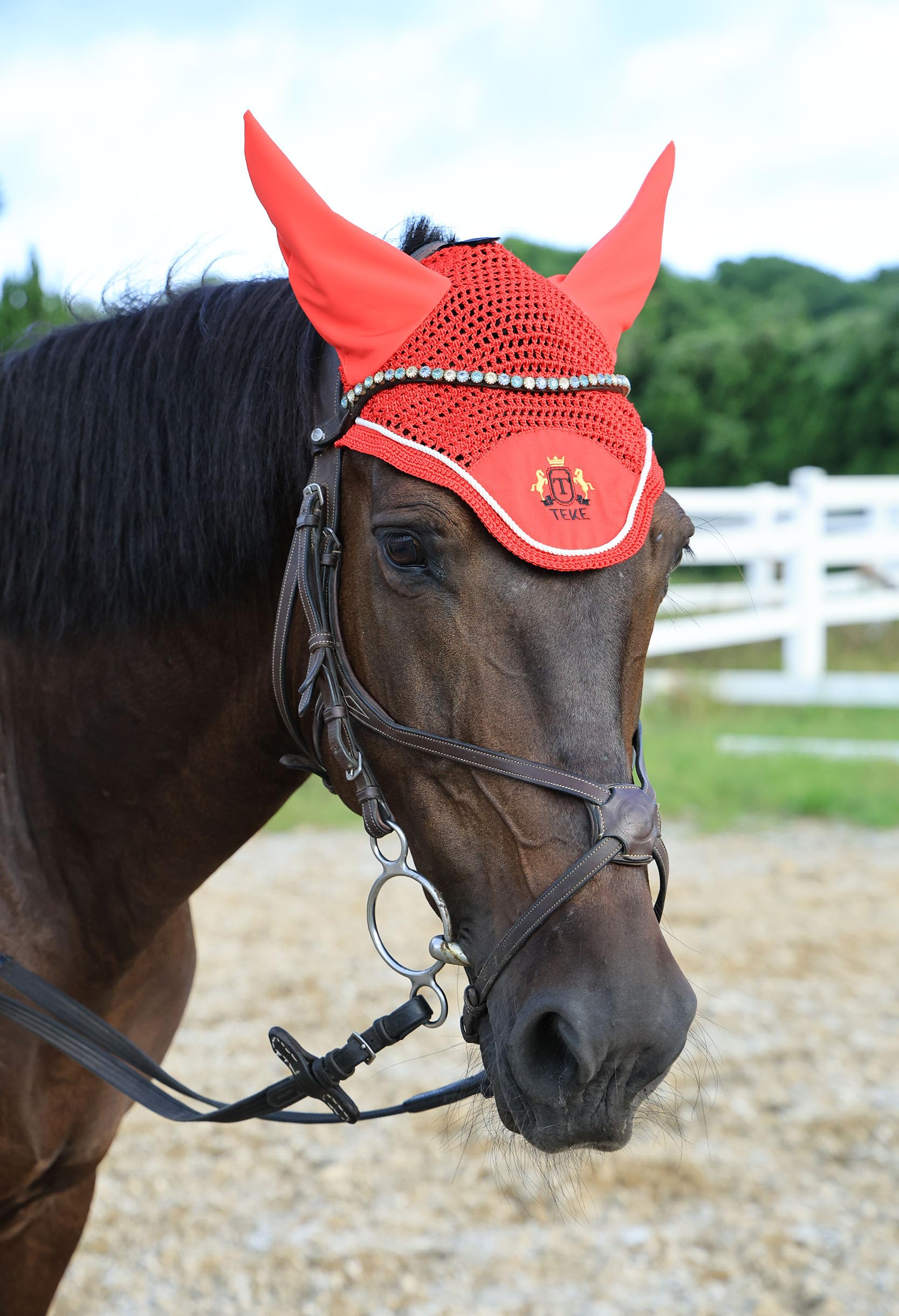 T TEKE Gorgeous Horse Ear Bonnet, 68% Viscose + 32% Acrylic Hand Crocheted mesh with Stylish Piping, Spandex Ears