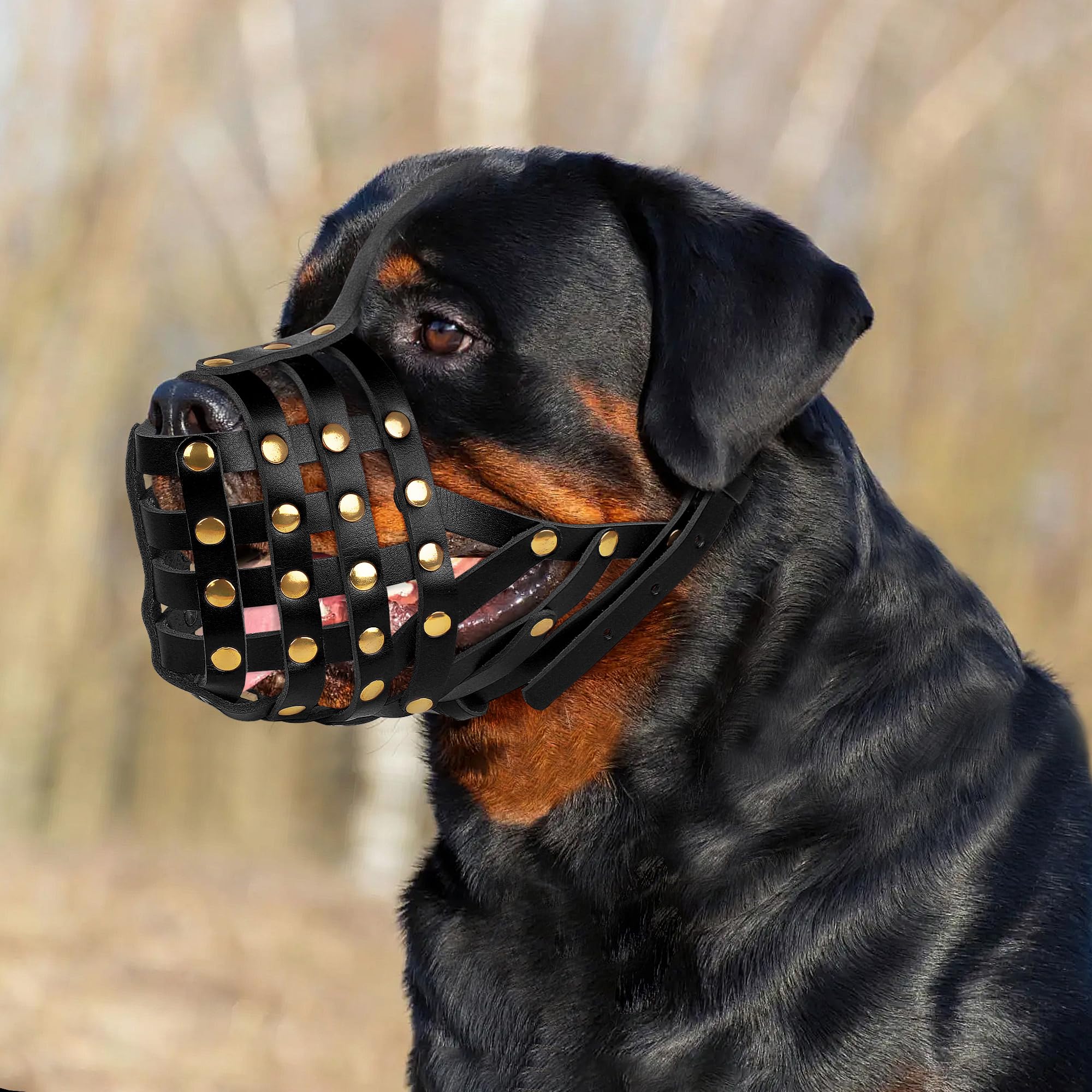 Oopsdoggy Rottweiler Dog Muzzle For Large Dogs - Leather Breathable Secure Basket Muzzle For Large Breeds Prevents Biting No Che