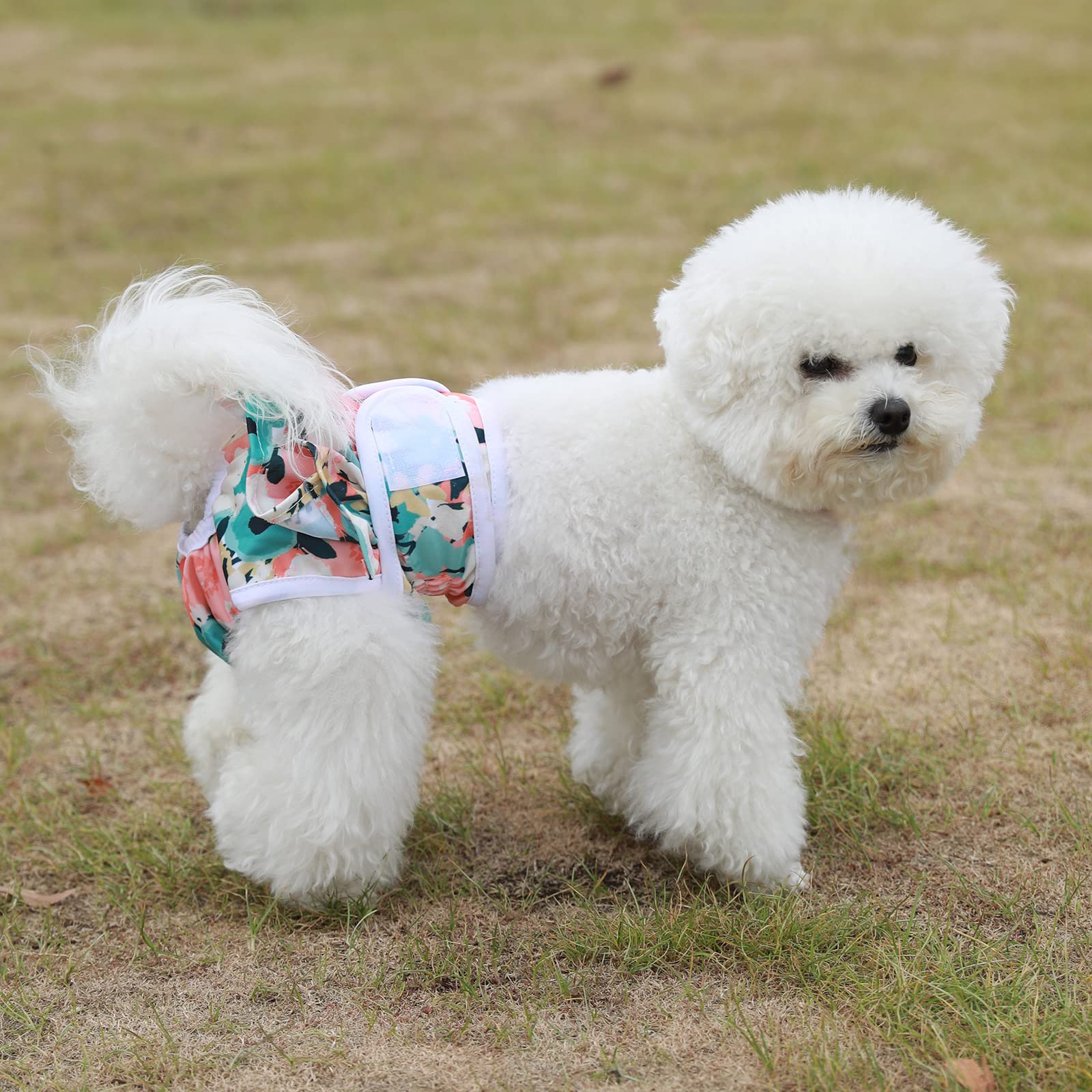 Washable Dog Diapers Female 3 Pack Reusable Premium Highly Absorbent Doggie Diaper, Flexible Puppy Diaper, Durable Leak-Proof Do