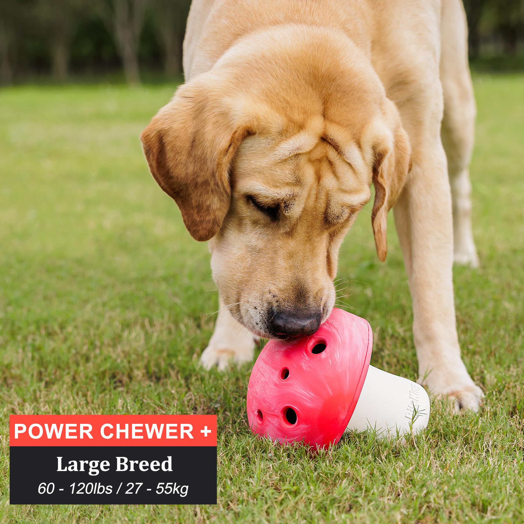 BiteKing Natural Rubber Dog Enrichment Toys for Large Dogs, Slow Feeder to Keep Them Busy - Lifetime Replacement - Durable Treat