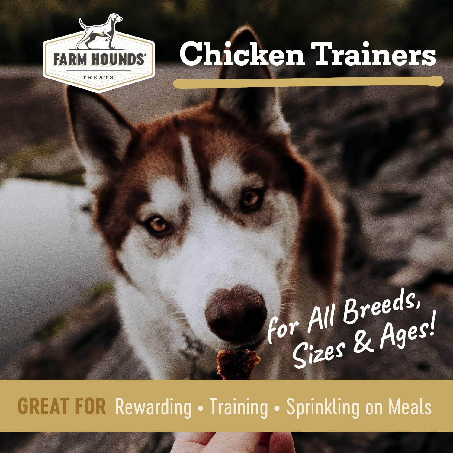 Farm Hounds - Chicken Trainers - Premium Natural Jerky for Dogs - 100% Humanely Raised Chicken - Easy-Break - Great for Training
