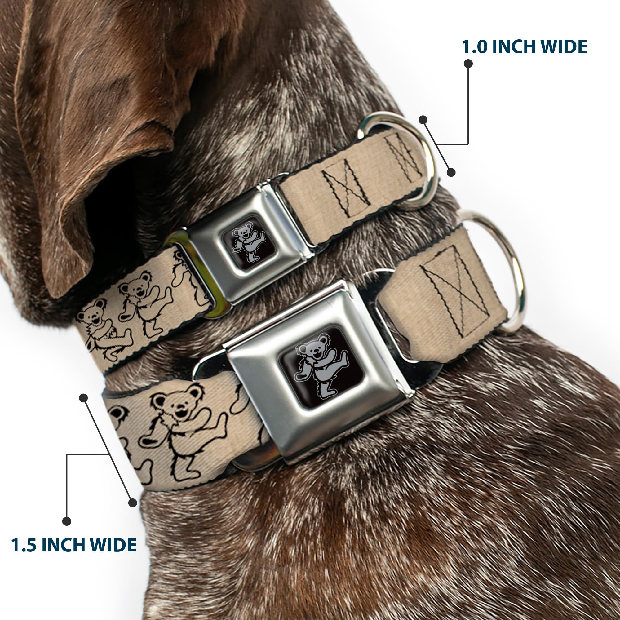 Buckle-Down Seatbelt Buckle Dog Collar - Dancing Bears Hemp/Black - 1' Wide - Fits 11-17' Neck - Medium