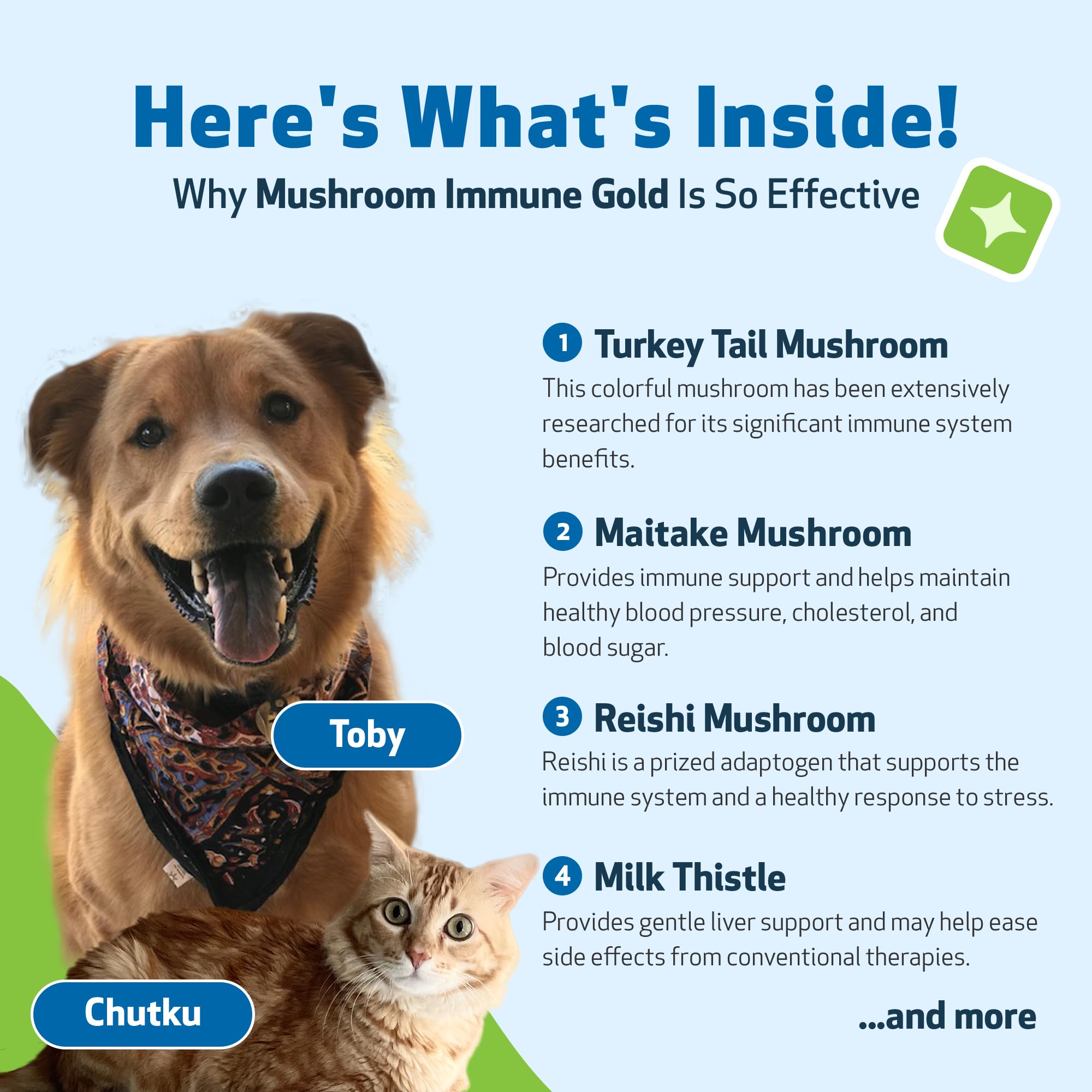 Pet Wellbeing - Mushroom Immune Gold - Natural Alternative Immune Support for Dogs and Cats - 8oz (237ml).