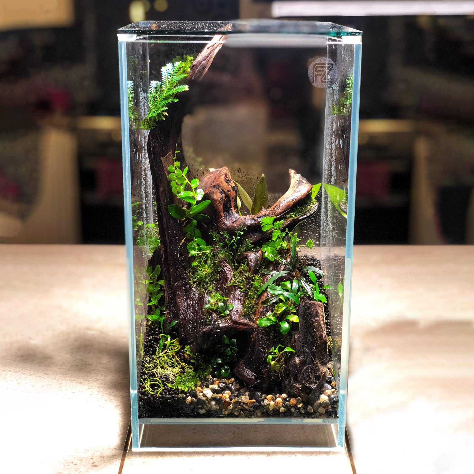 Fzone 2 Gal Nano Rimless Aquarium Low Iron Fish Tank Novaclear Ultra-White Translucent Glass Verso Series Nano Shallow Pond Levi