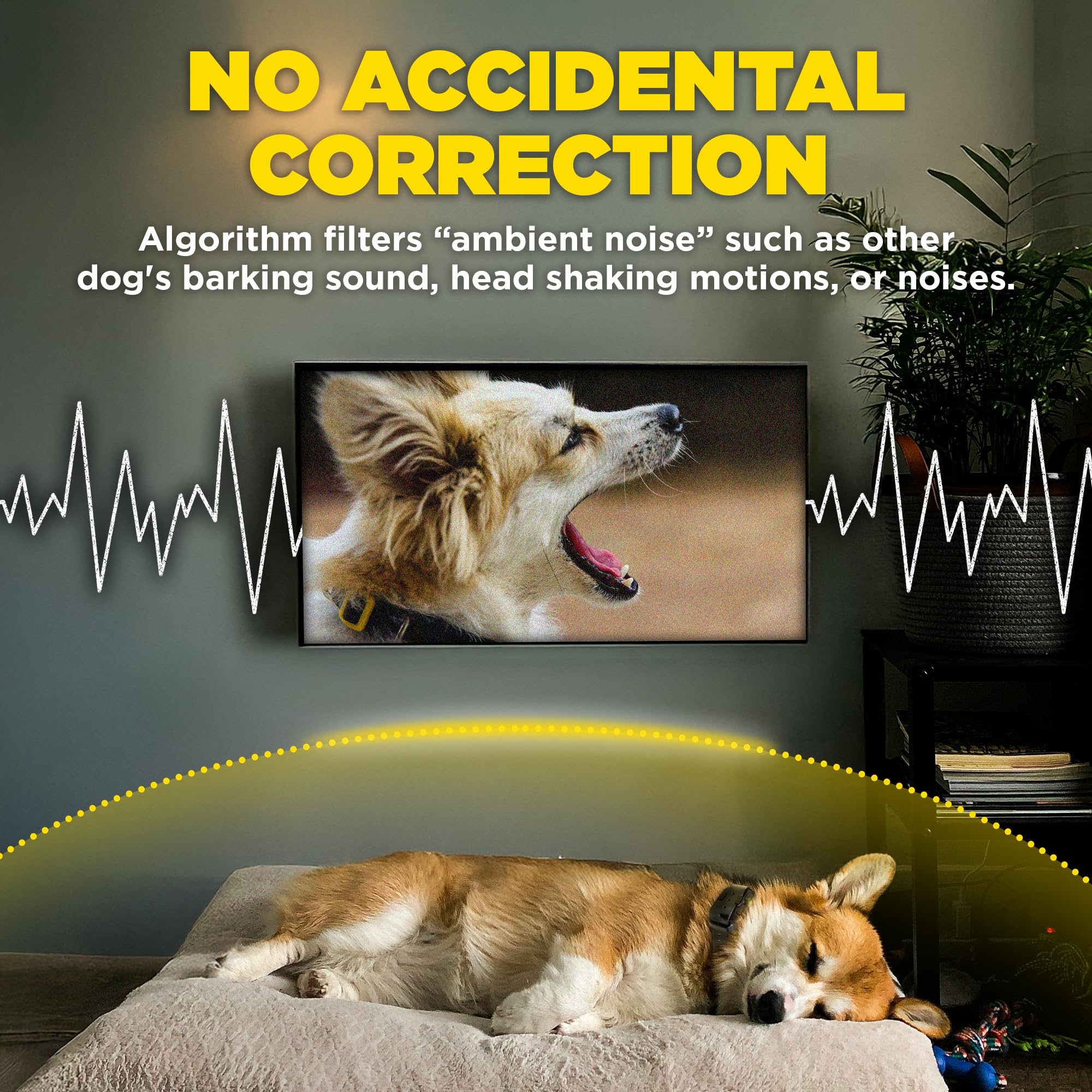 Dogtra Smart NOBARK E-Collar - 33 ft Range, Waterproof IPX9K, Compact for 10 lb Dogs, New Edition
