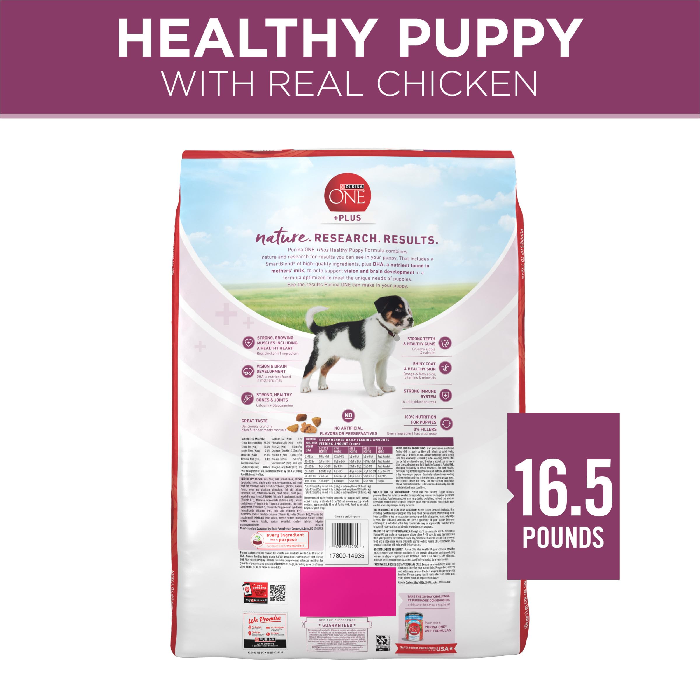Purina ONE Plus Healthy Puppy Formula High Protein Natural Dry Puppy Food with Added Vitamins, Minerals and Nutrients - 16.5 lb.