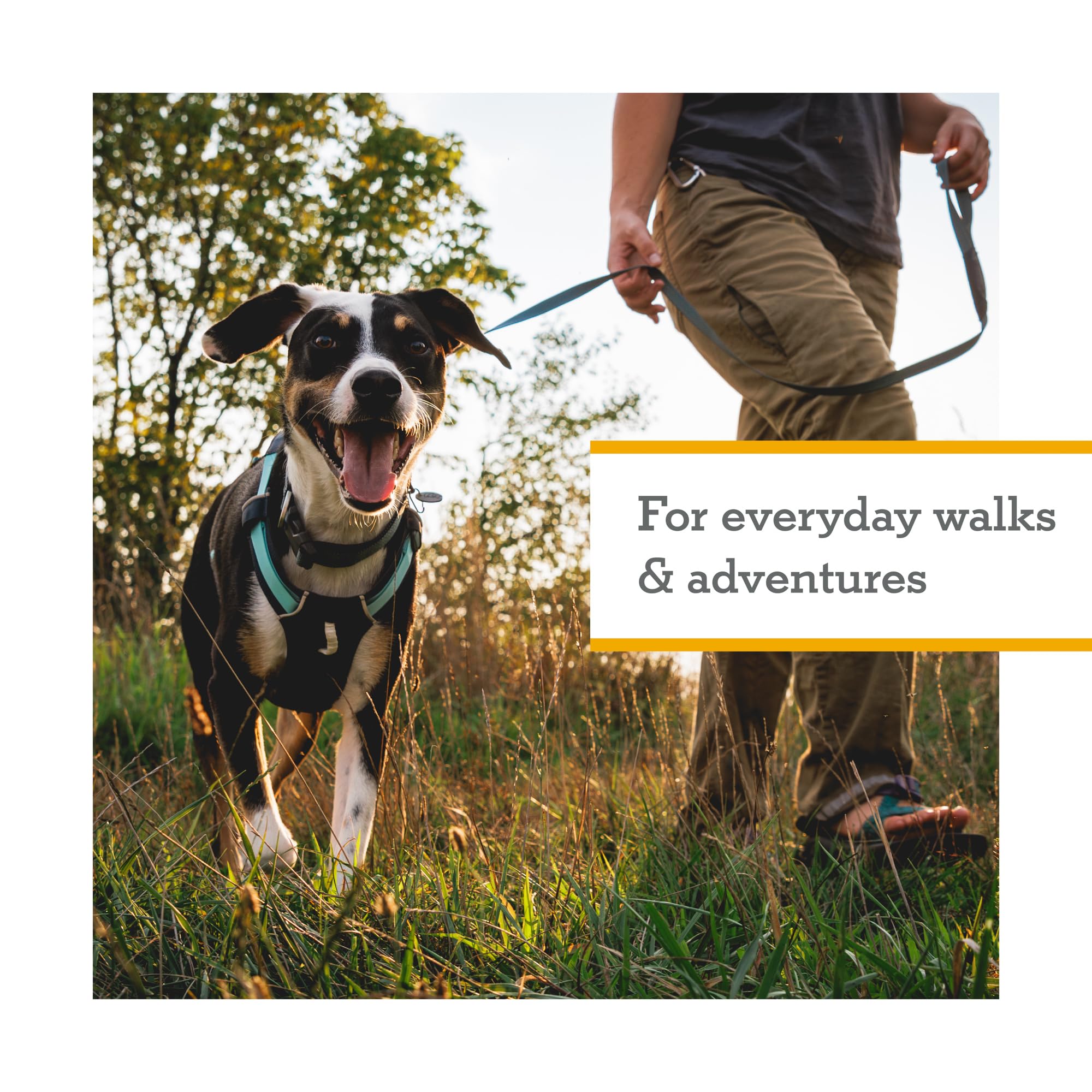 Ruffwear, Hi & Light, Everyday Lightweight Dog Harness, Trail Running, Walking, Hiking, All-Day Wear, Basalt Gray, XX-Small