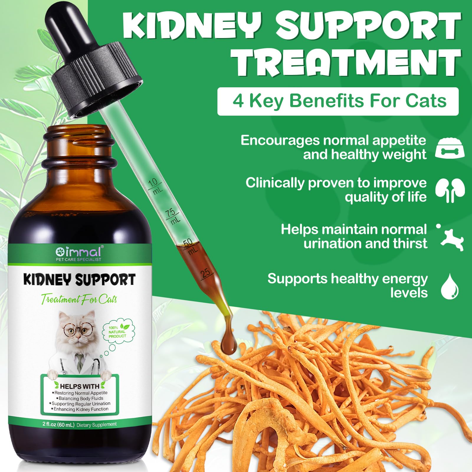Kidney Support for Cats, Cat Kidney Treatment Support Cat Urinate Regularly, Strengthen Cat Kidney Function,Increase Cat Immunit