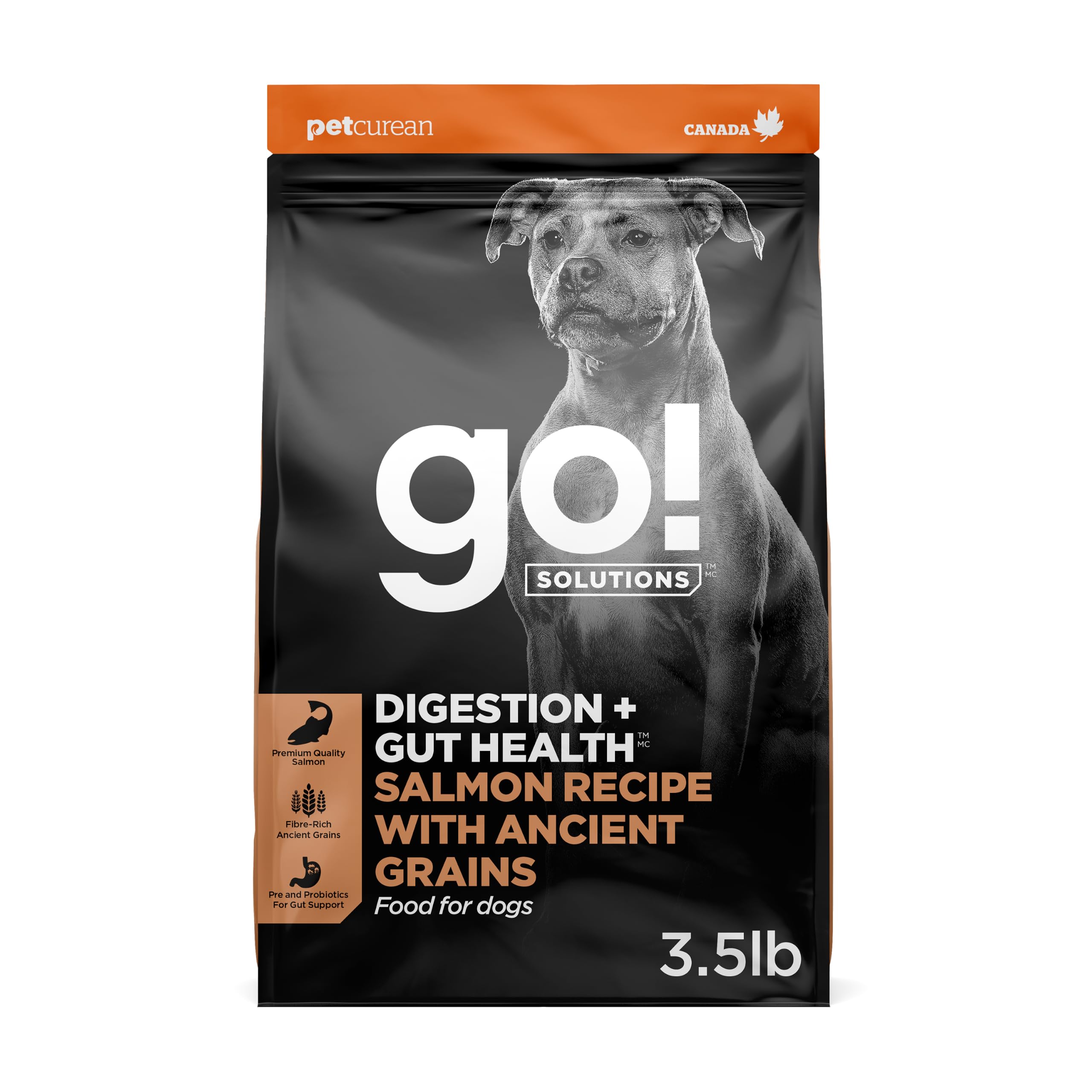 Go! Solutions Digestion + Gut Health Salmon Dry Dog Food, 3.5 lb