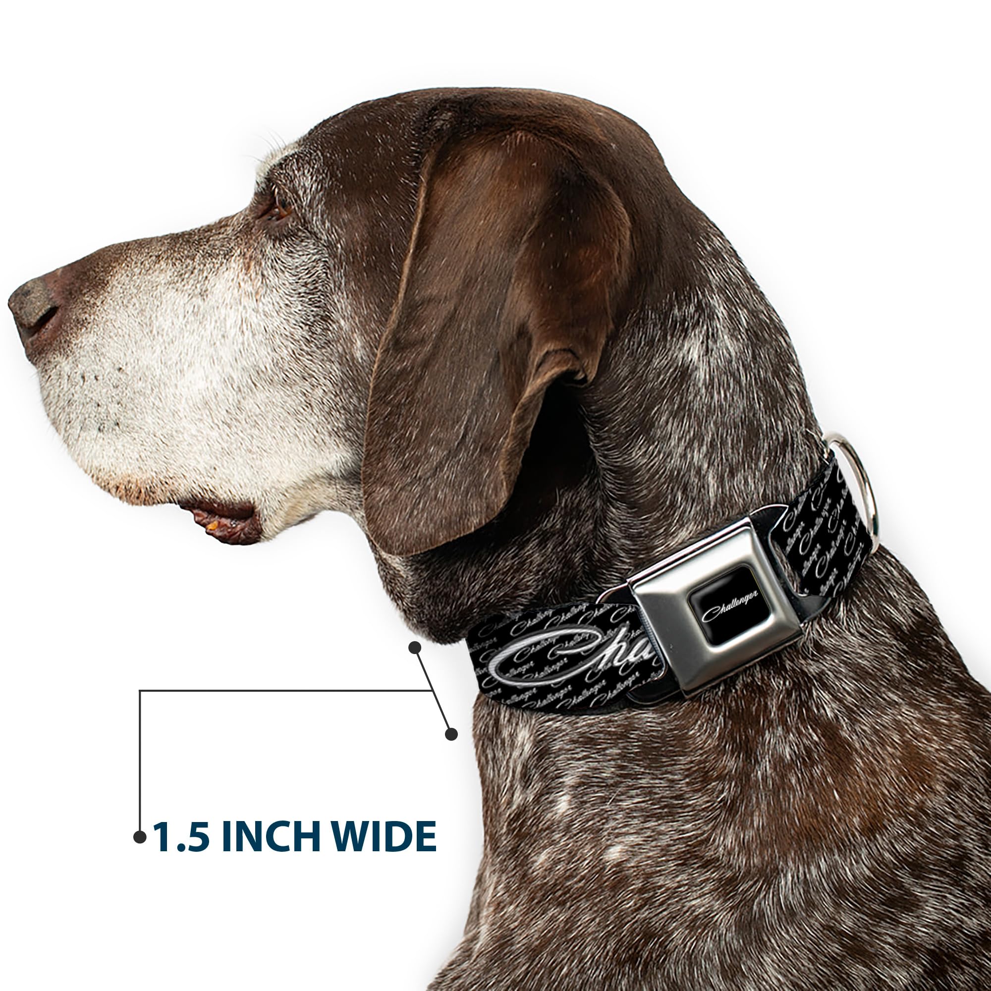 Buckle-Down Seatbelt Buckle Dog Collar - CHALLENGER Repeat w/Text Black/White - 1.5 Wide - Fits 16-23 Neck - Medium