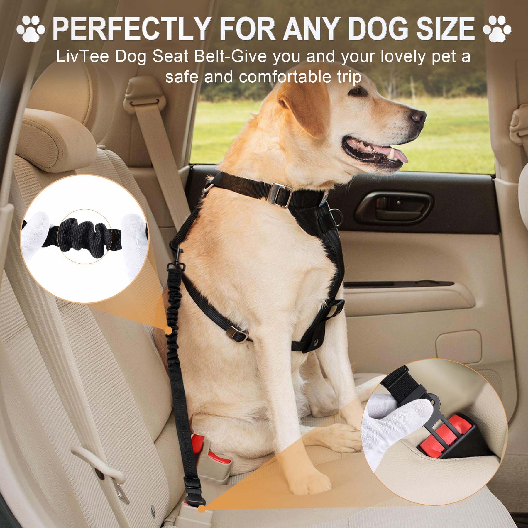 Livtee Dog Seat Belt For Car,1 Packs Set Retractable Dog Car Harness Adjustable And Comfortable Dog Car Seatbelt Leash,Elastic N