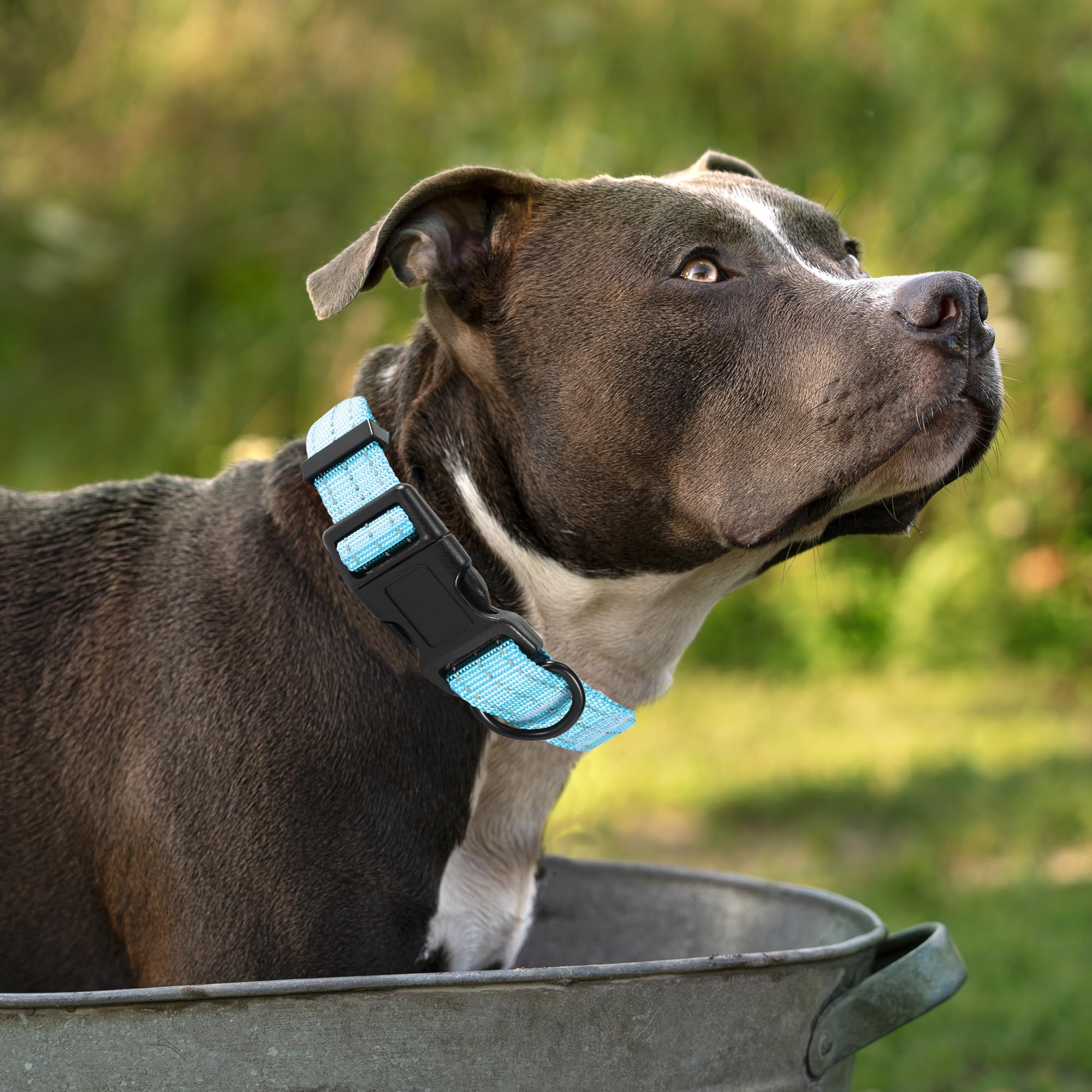 Mile High Life Dog Collar | Nylon Reflective Dog Collars | Light Weight Puppy Collars | Blue Dog Collars For Large Dogs (Solid B
