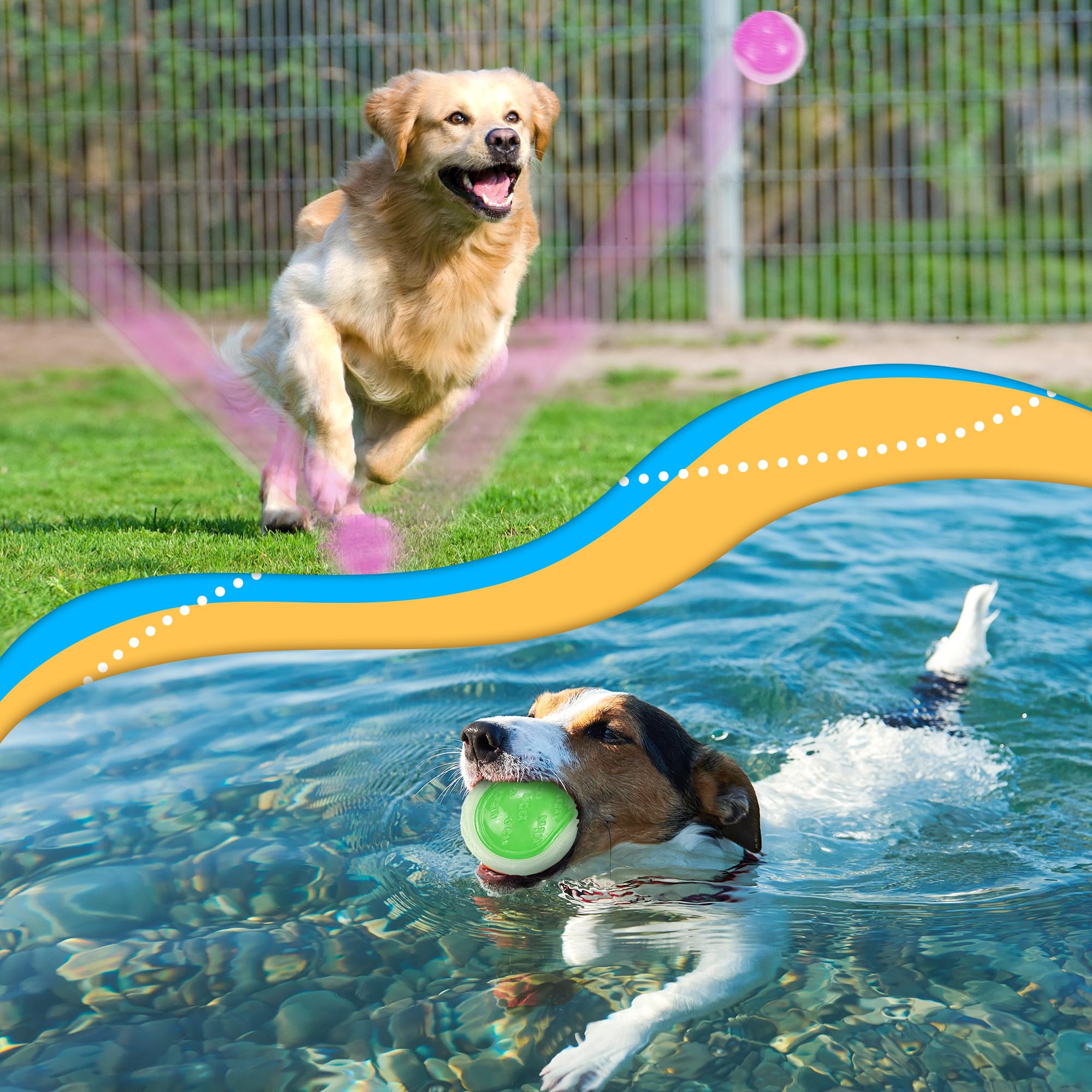 LECHONG Glow Dog Ball - 2.5” Squeaky Rubber Toy for Small/Medium Dogs, Pack of 6, Durable Thermoplastic Rubber, S6-glow
