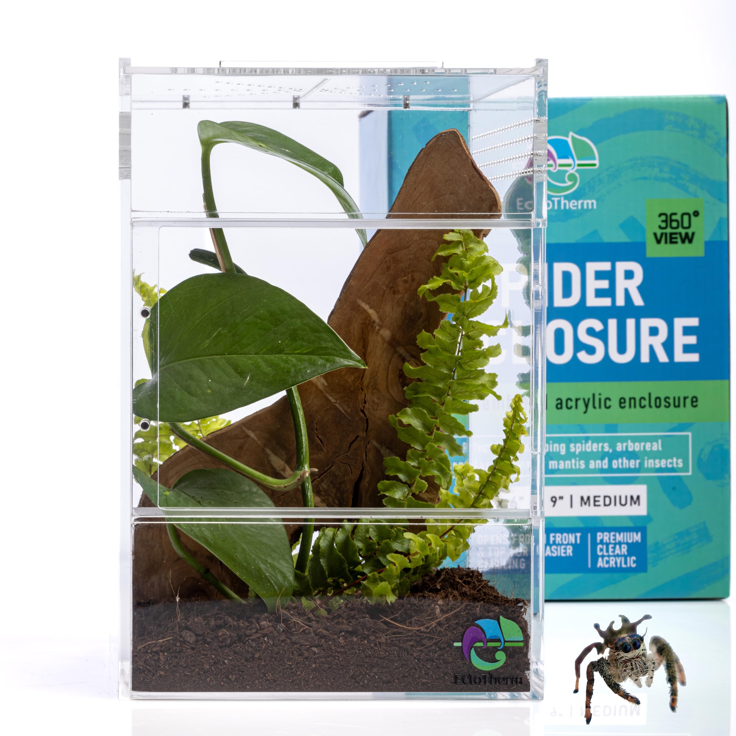 Ectotherm Jumping Spider Enclosure - For Habitat, Terrarium Kit And Arboreal Tarantula Enclosure