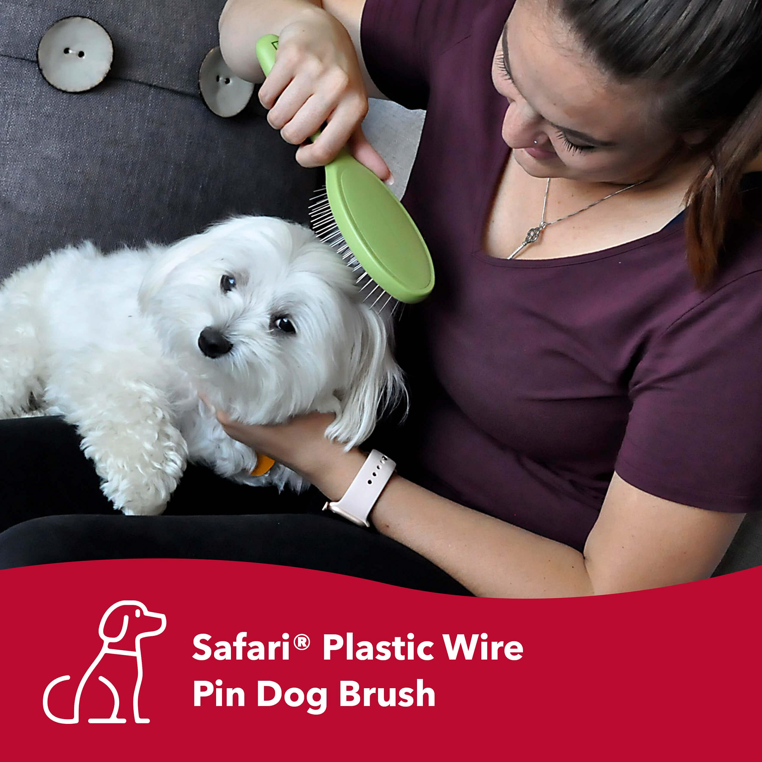 Coastal Pet Safari Wire Pin Brush With Plastic Handle - General Dog Grooming Brush For Dogs With Short And Long Hair - No-Slip H