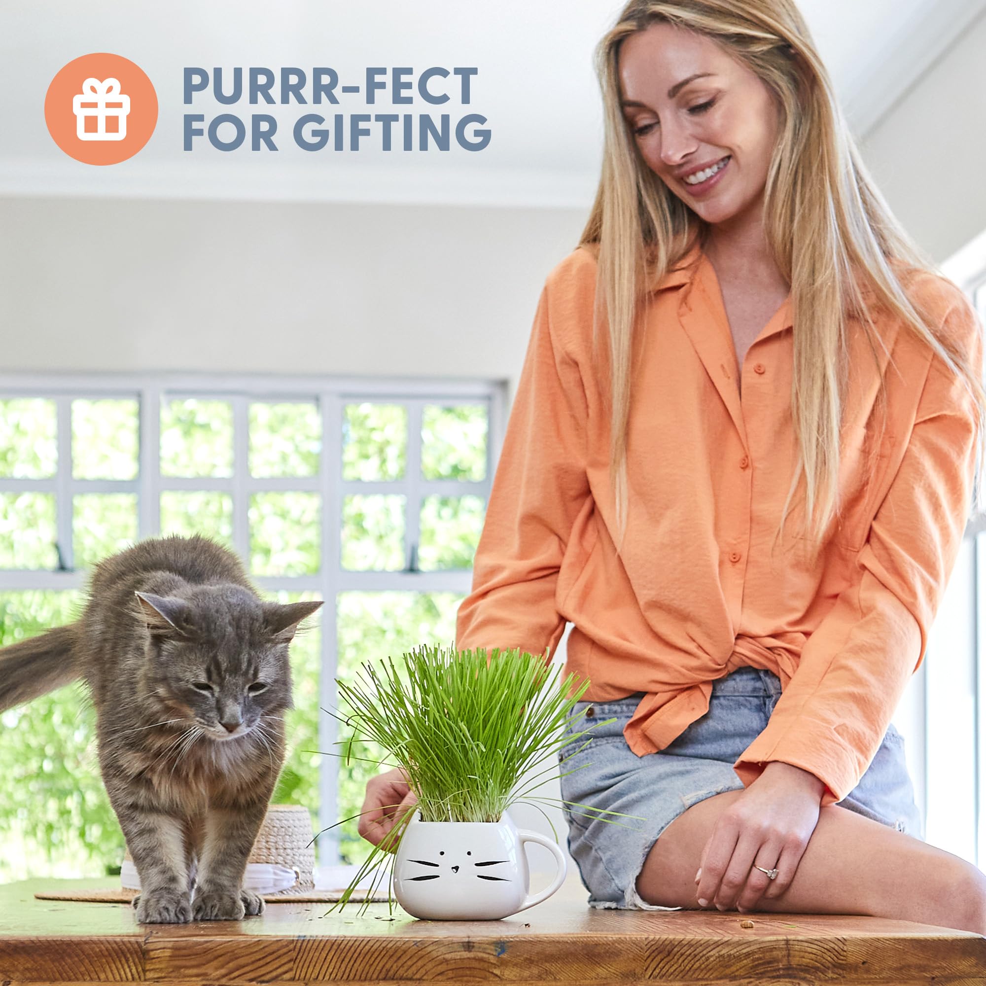 The Cat Ladies Organic Cat Grass for Indoor Cats - Growing Kit with Organic Seed Mix, Soil and White Cat Planter. Natural Hairba