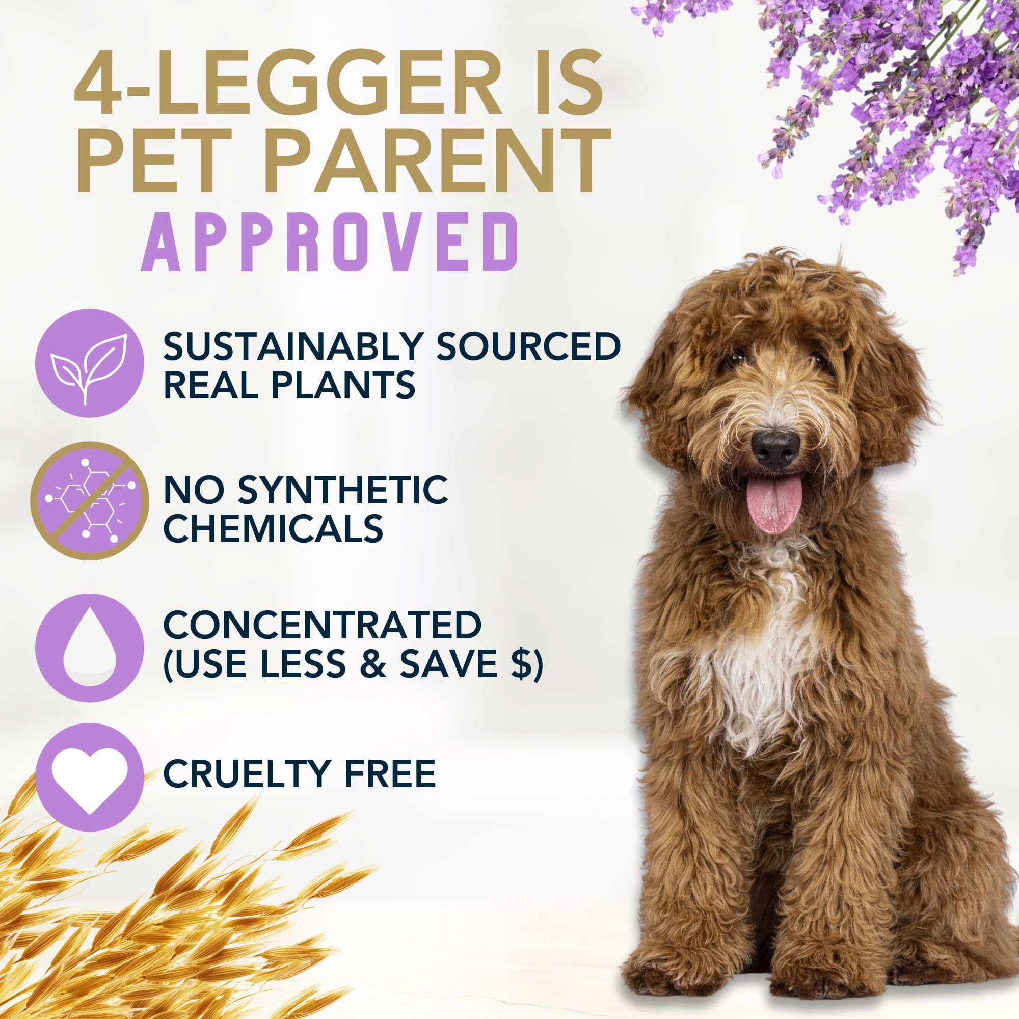 4Legger Organic Dog Shampoo Usda Certified Organic, All Natural Hypoallergenic Dog Shampoo With Oatmeal, Lavender, And Coconut Oil - Organic Oatmeal Shampoo For Dogs - Dog Shampoo For Itchy Skin 16 Oz